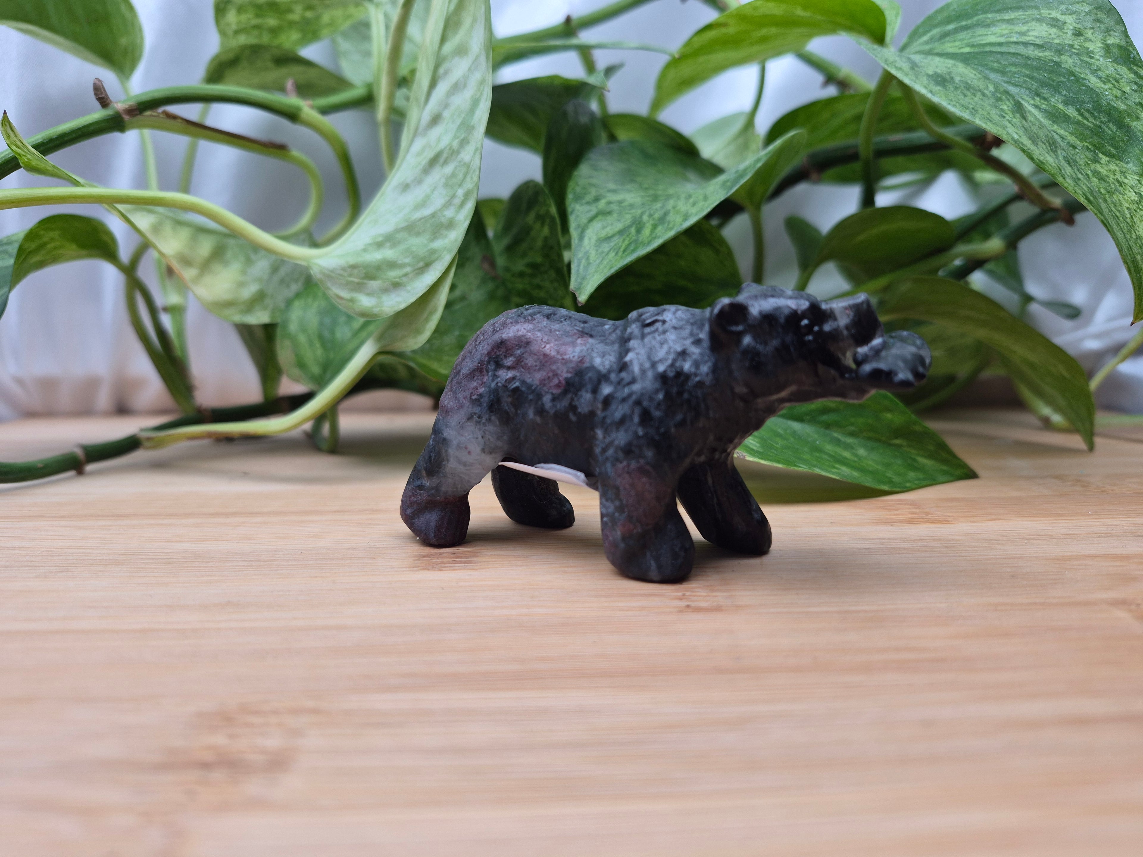 GARNET BEAR WITH FISH