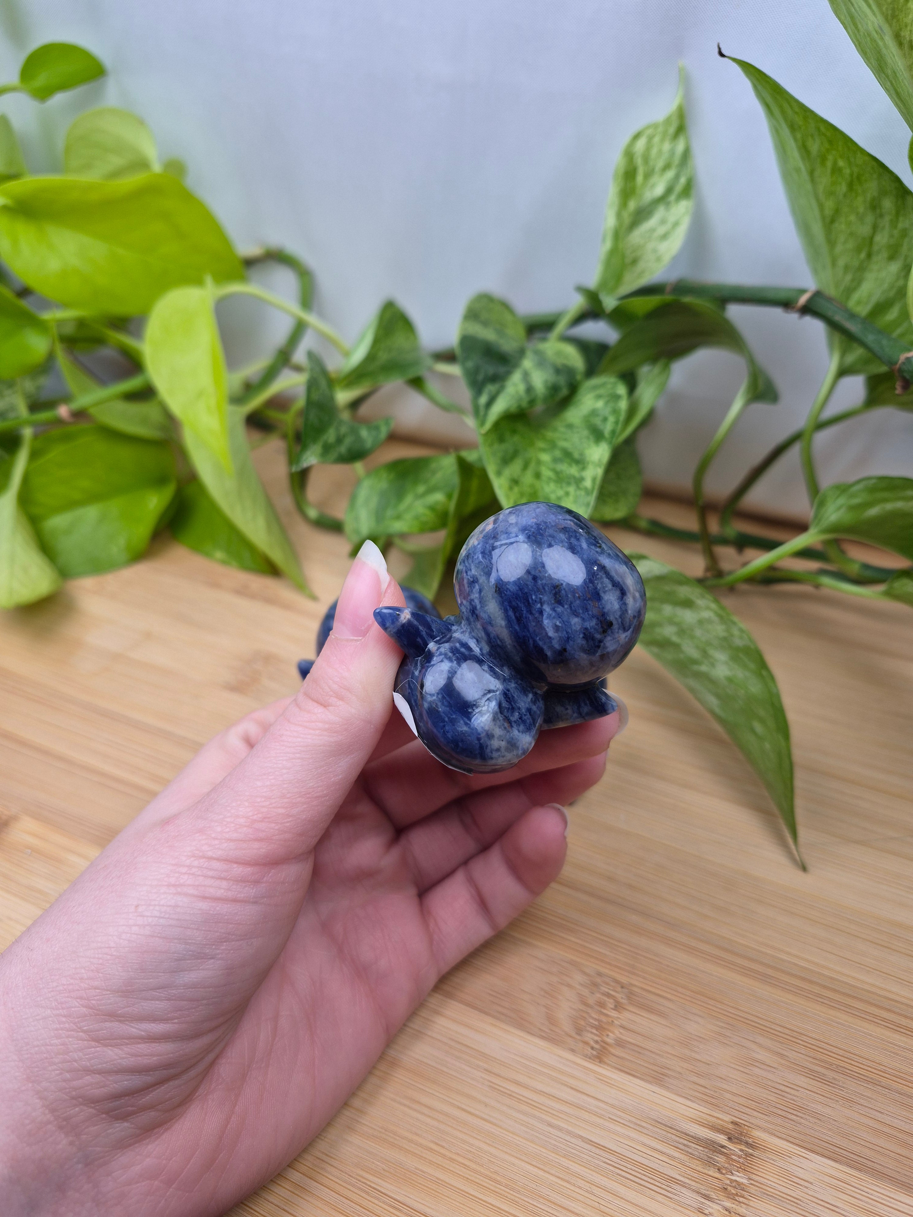 SODALITE PIPLUP