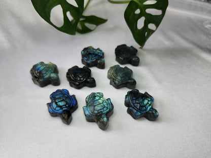 LABRADORITE TURTLE "FLASHY"