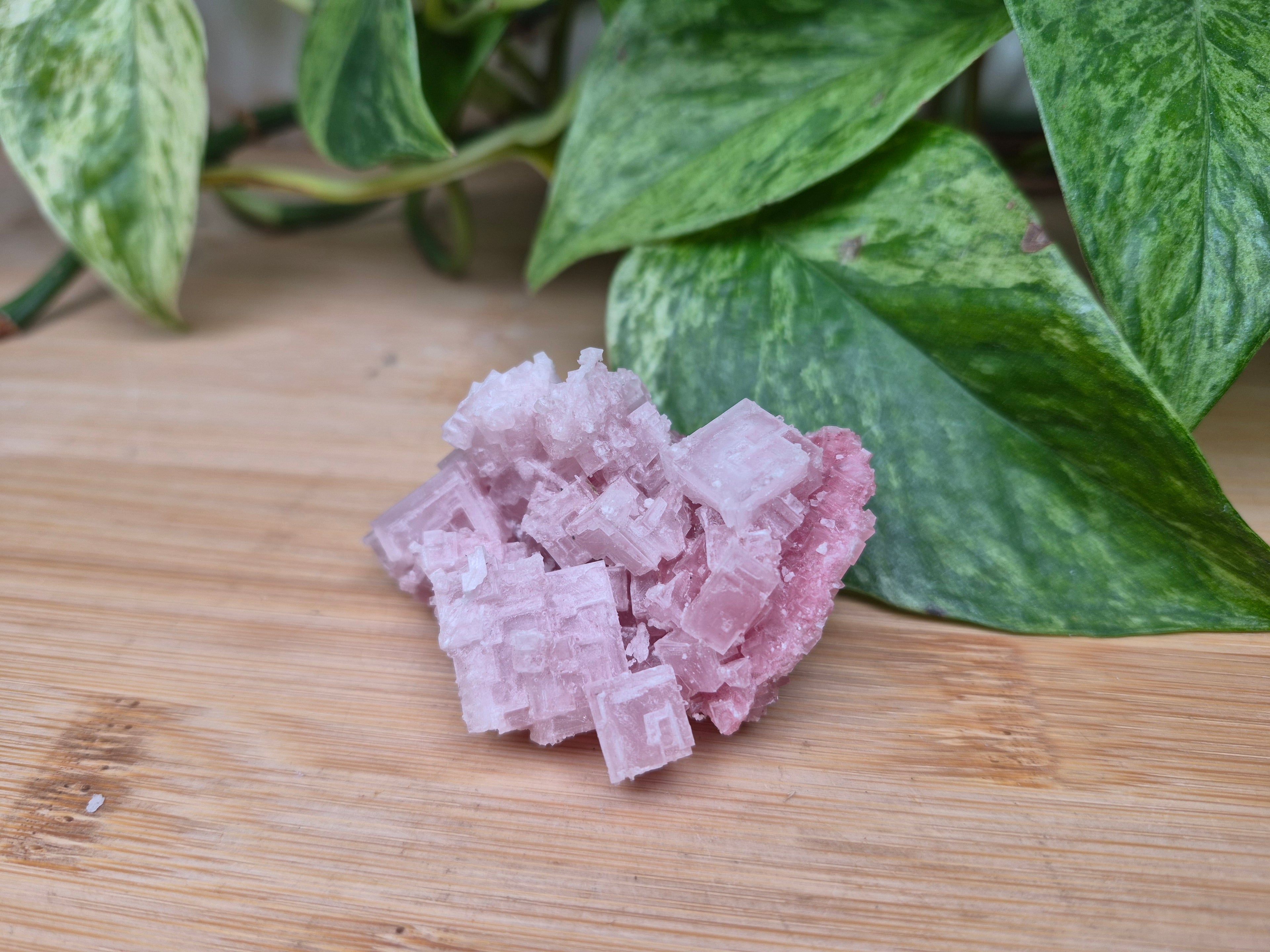 PINK HALITE SPECIMEN