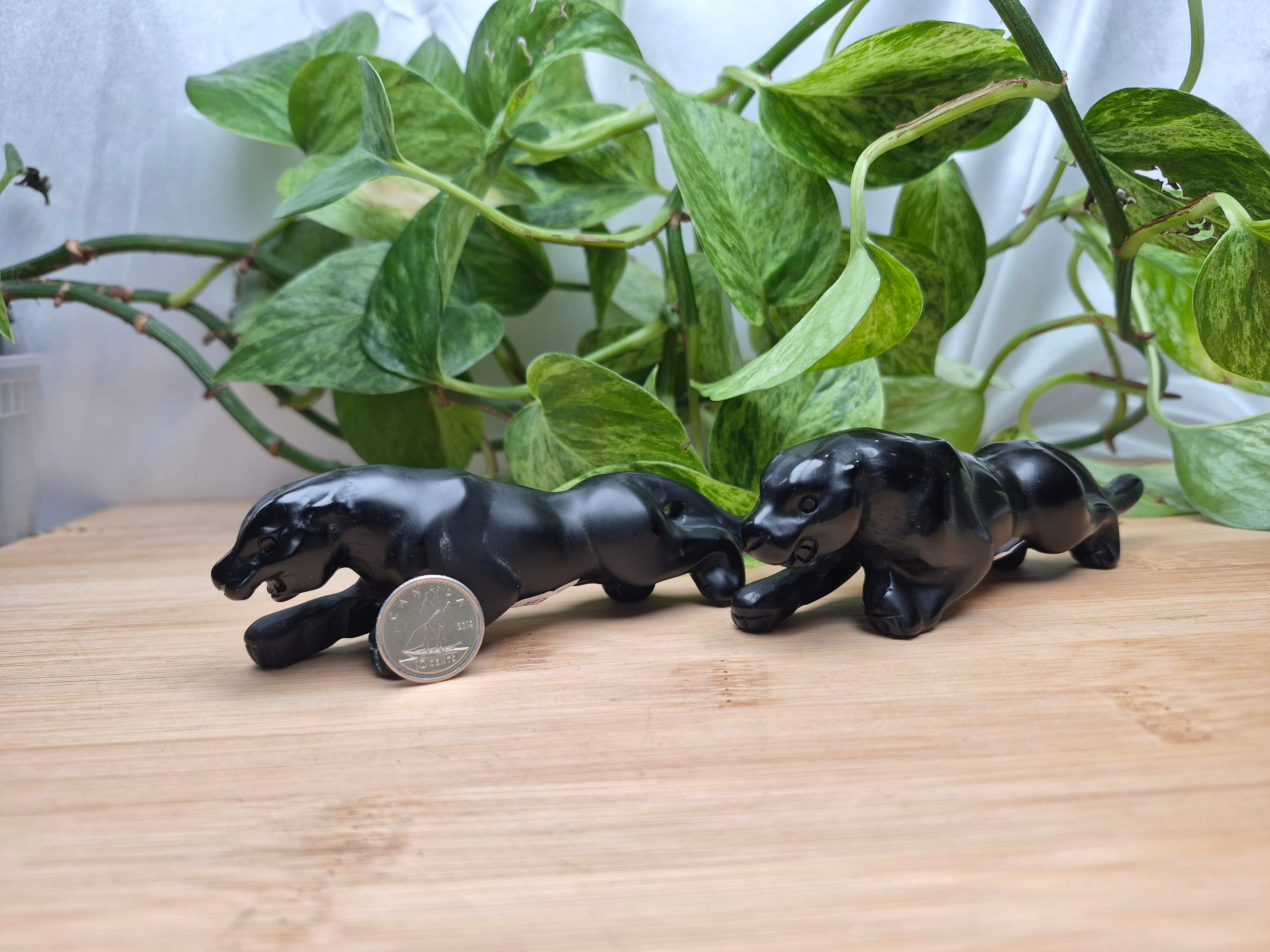 OBSIDIAN BLACK PANTHER