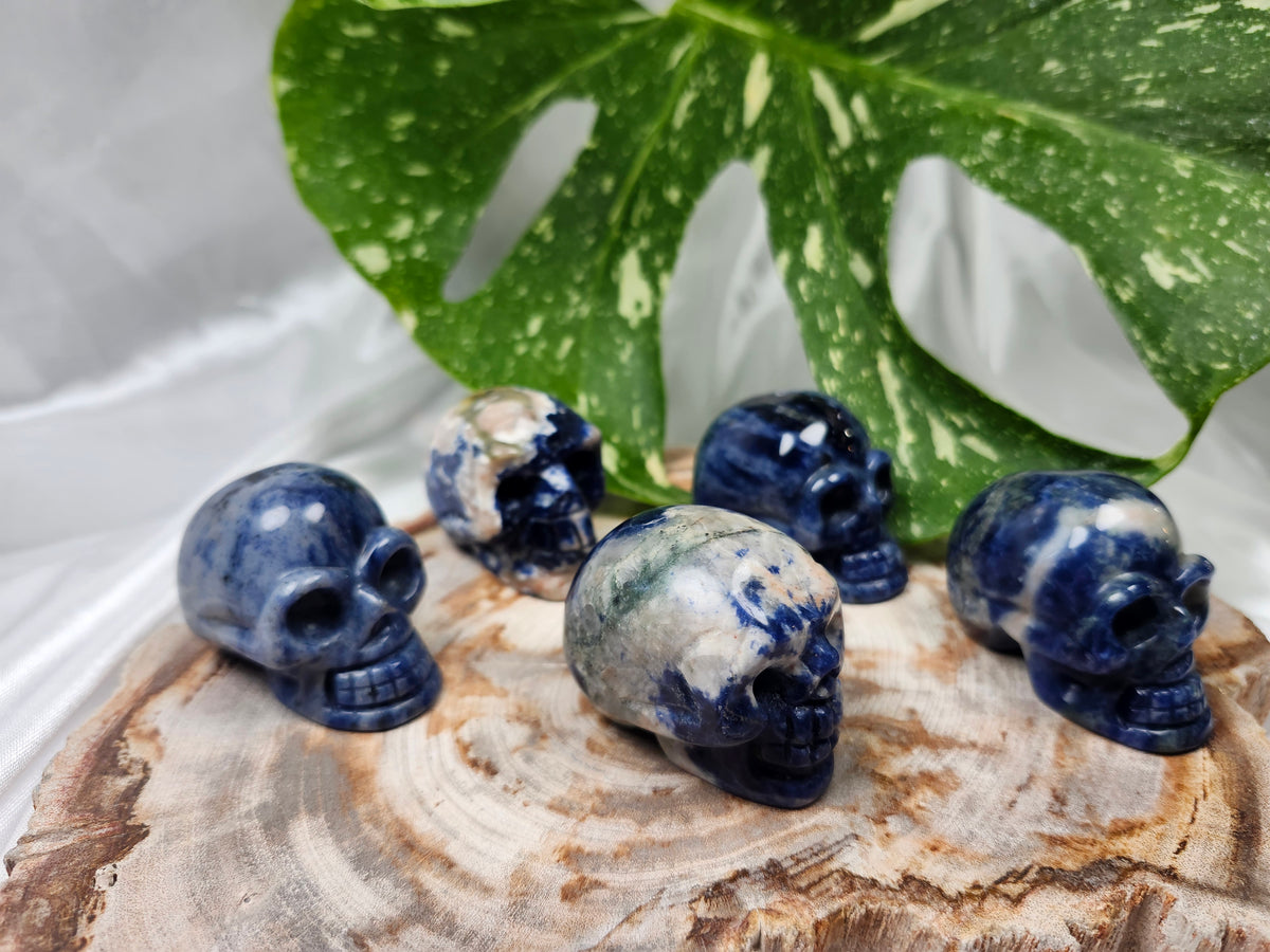 SODALITE SKULL