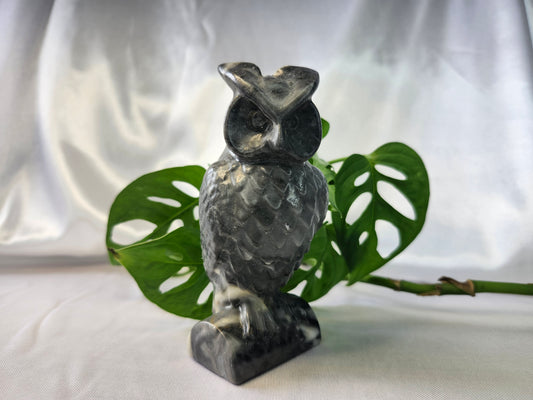 PICASSO JASPER OWL