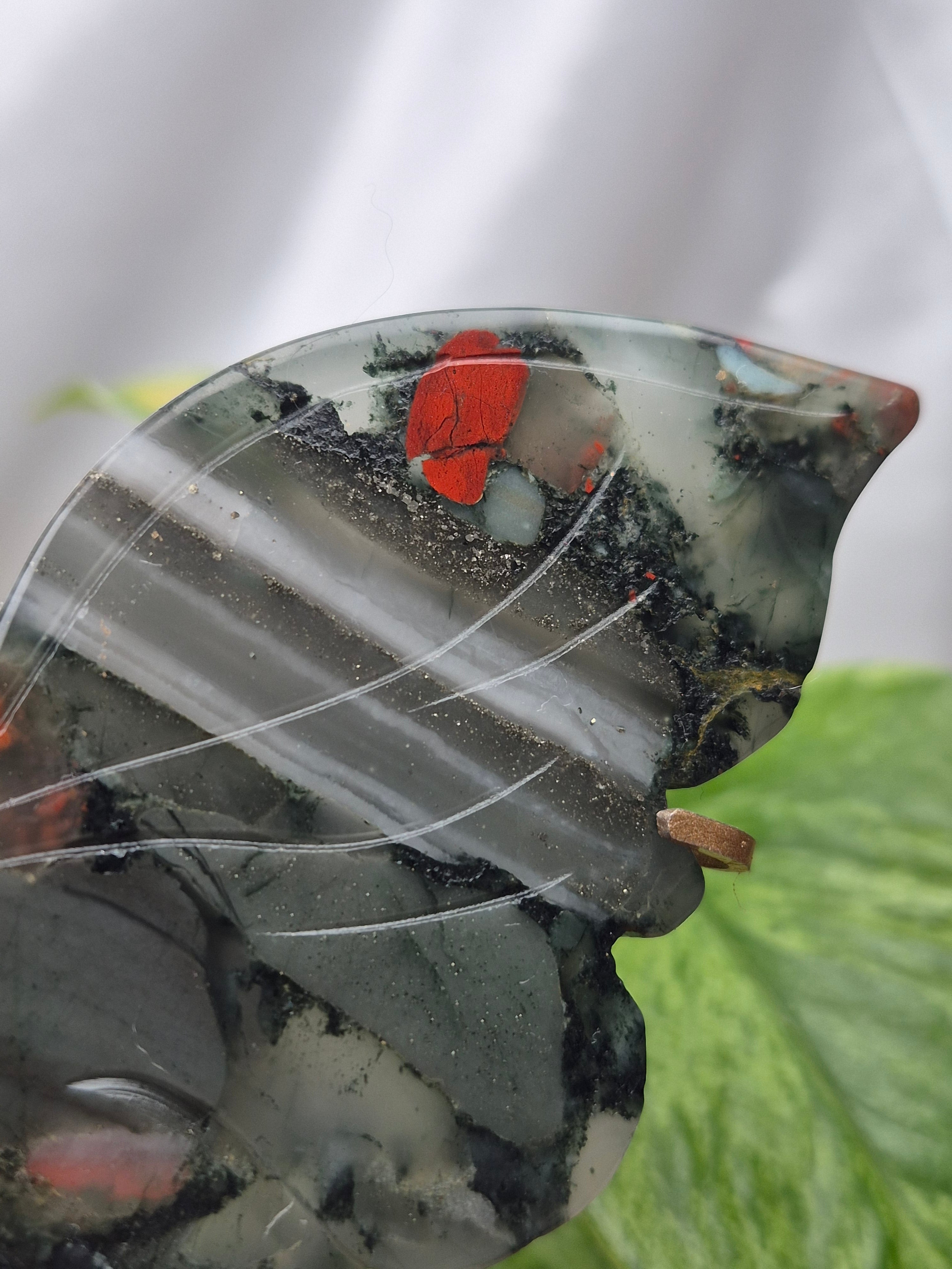 BLOODSTONE BUTTERFLY WINGS