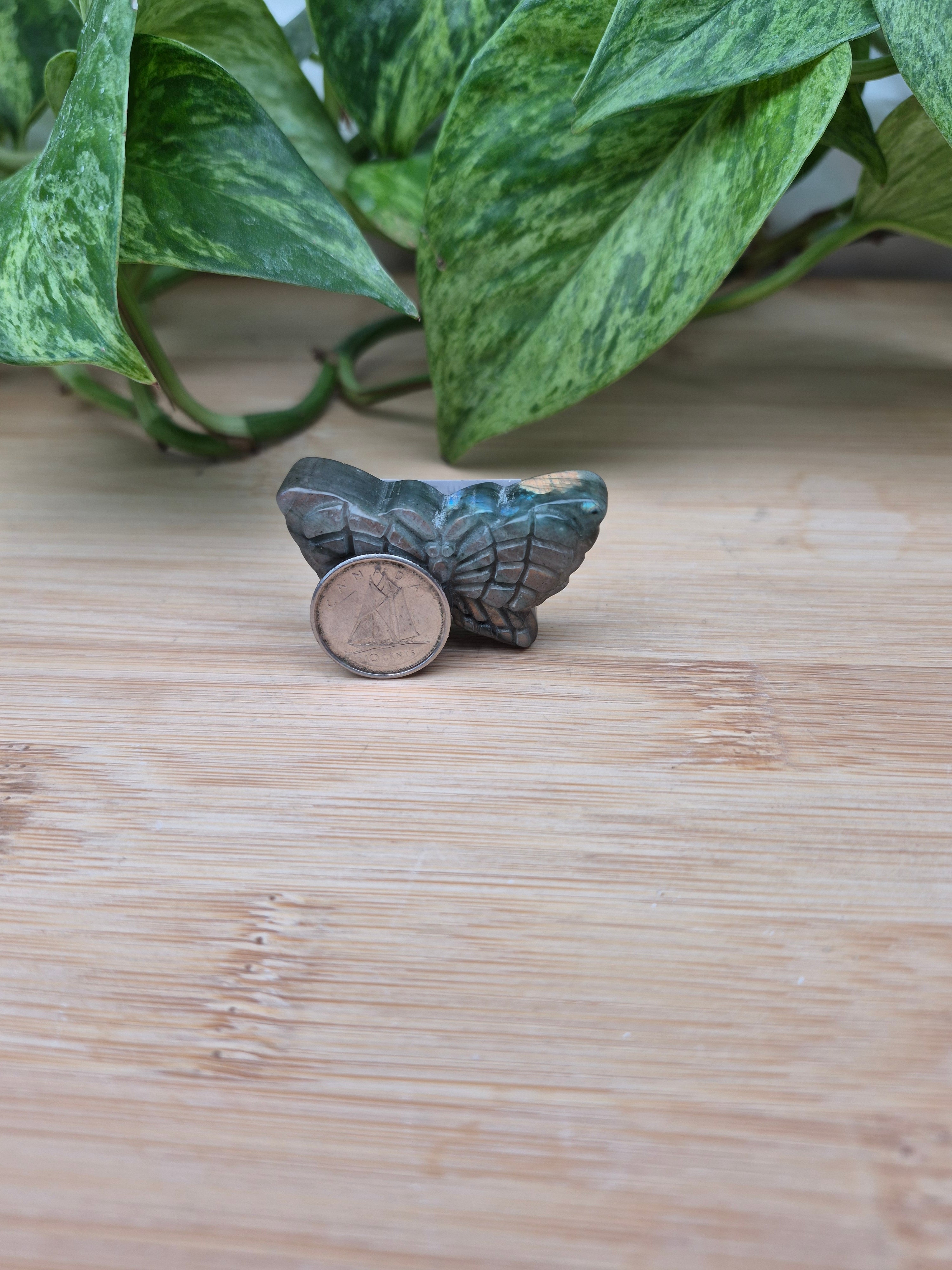 LABRADORITE BUTTERFLY