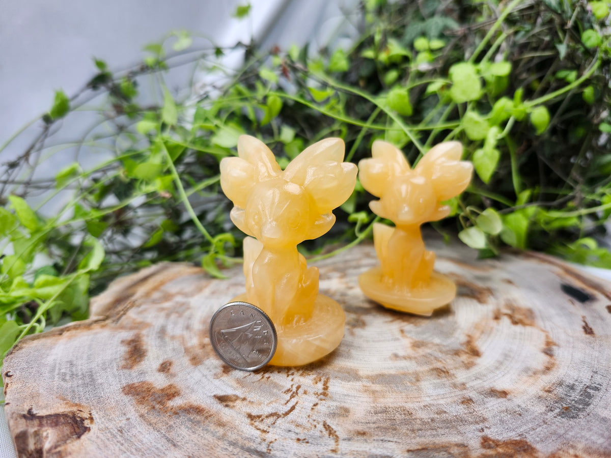 ORANGE CALCITE FENNEKIN
