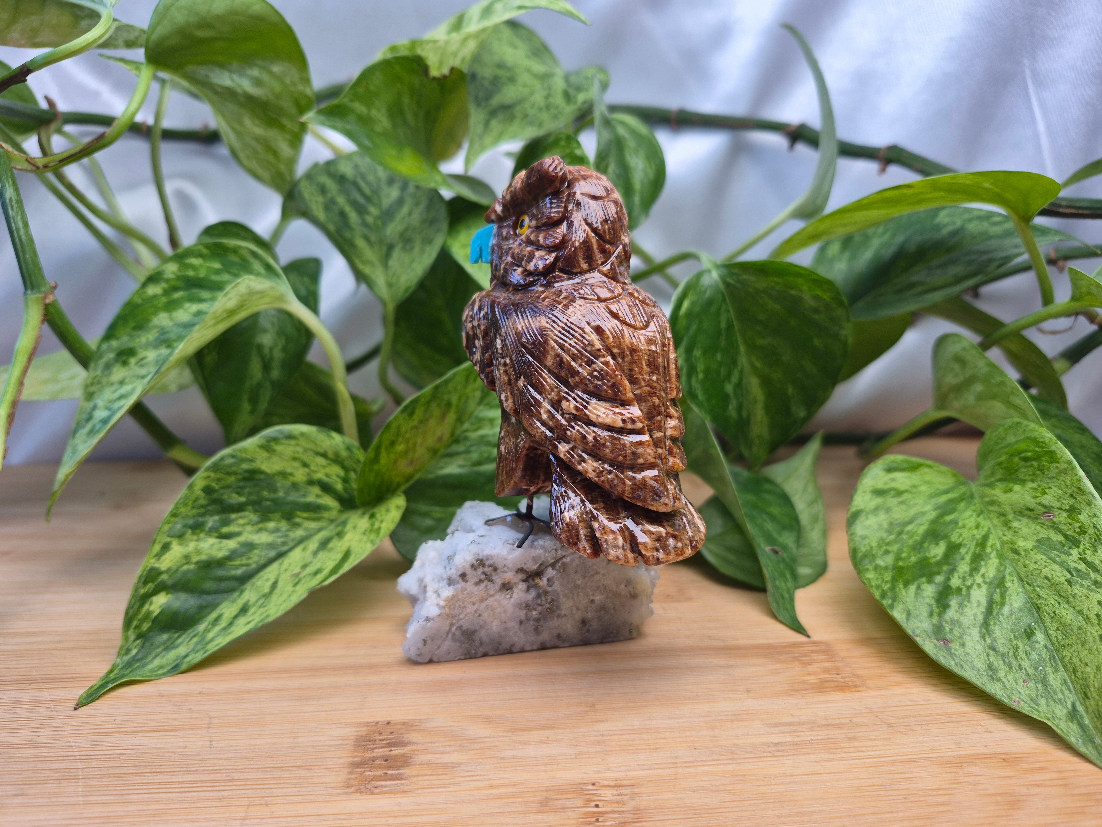 CHOCOLATE CALCITE OWL
