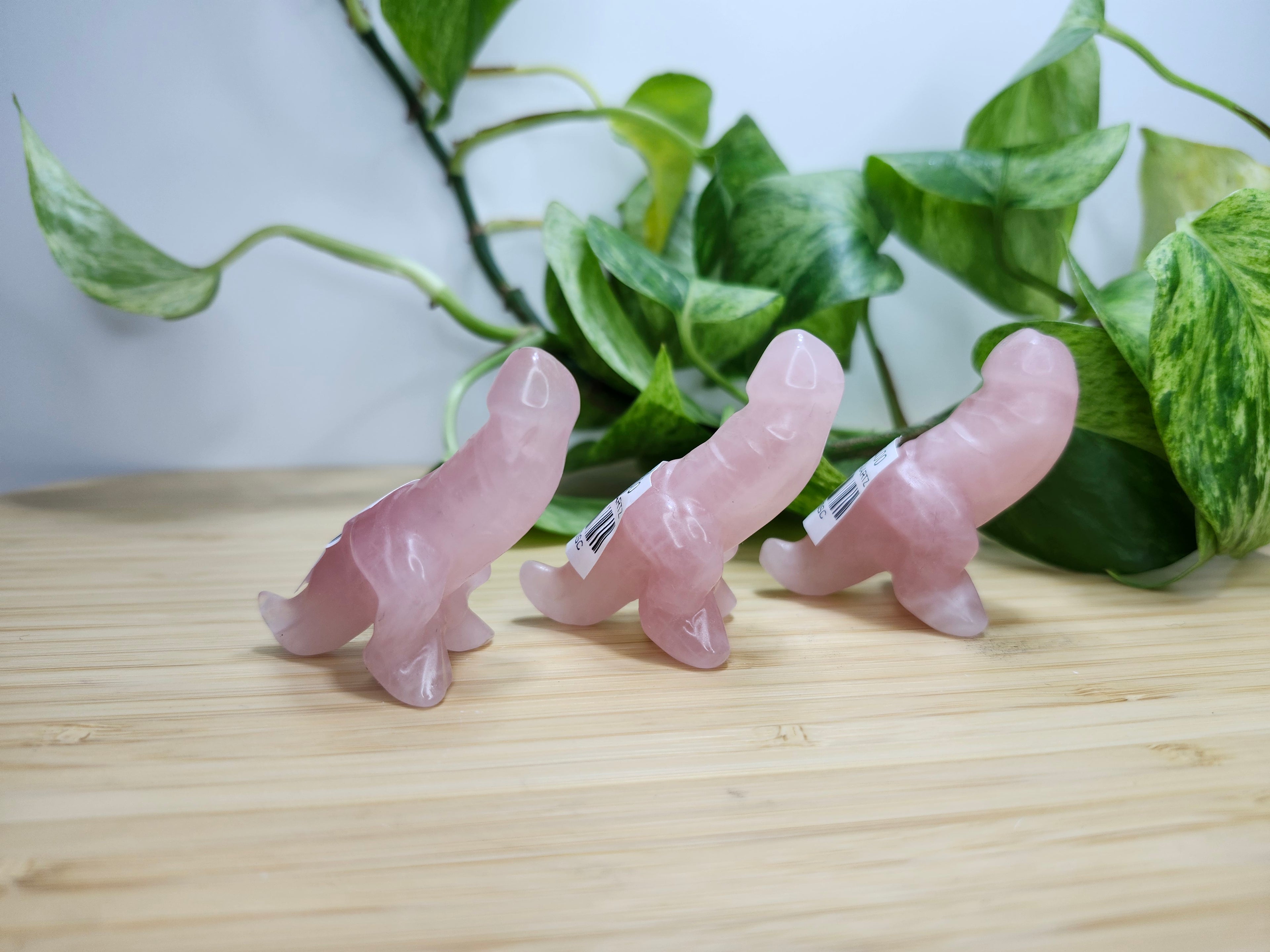 ROSE QUARTZ SM DICK-A-SAURUS