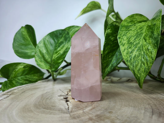 ROSE QUARTZ TOWER