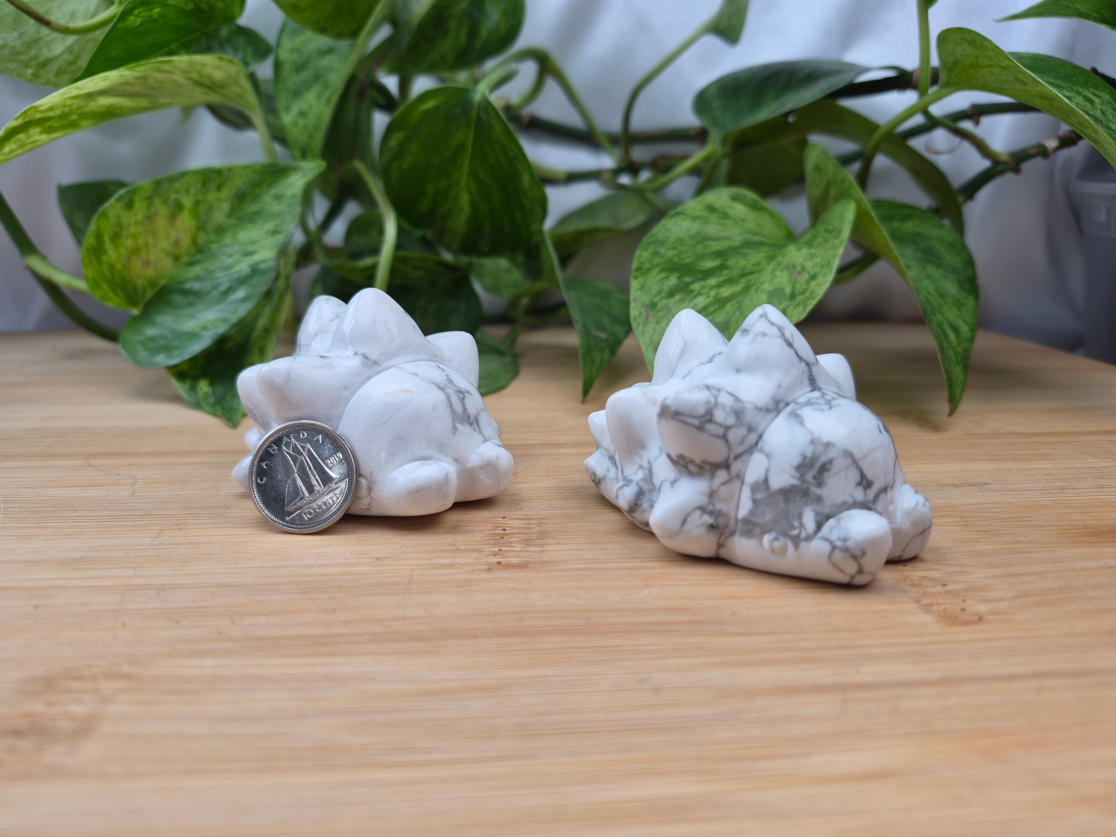 HOWLITE SNOM MD