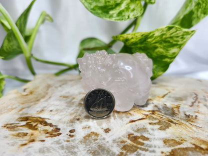 ROSE QUARTZ TURTLE DRAGON