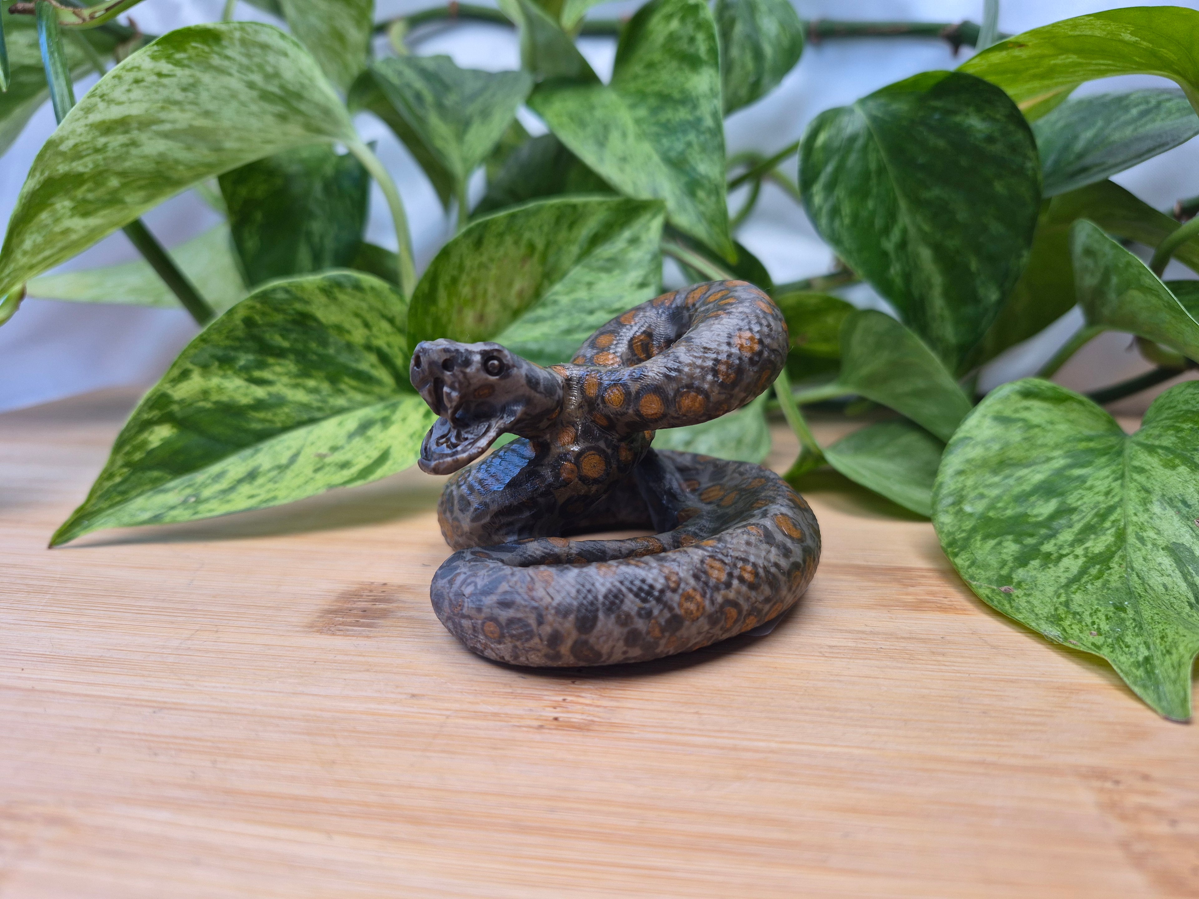 LEOPARDITE JASPER SNAKE
