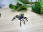 SMOKY QUARTZ SPIDER