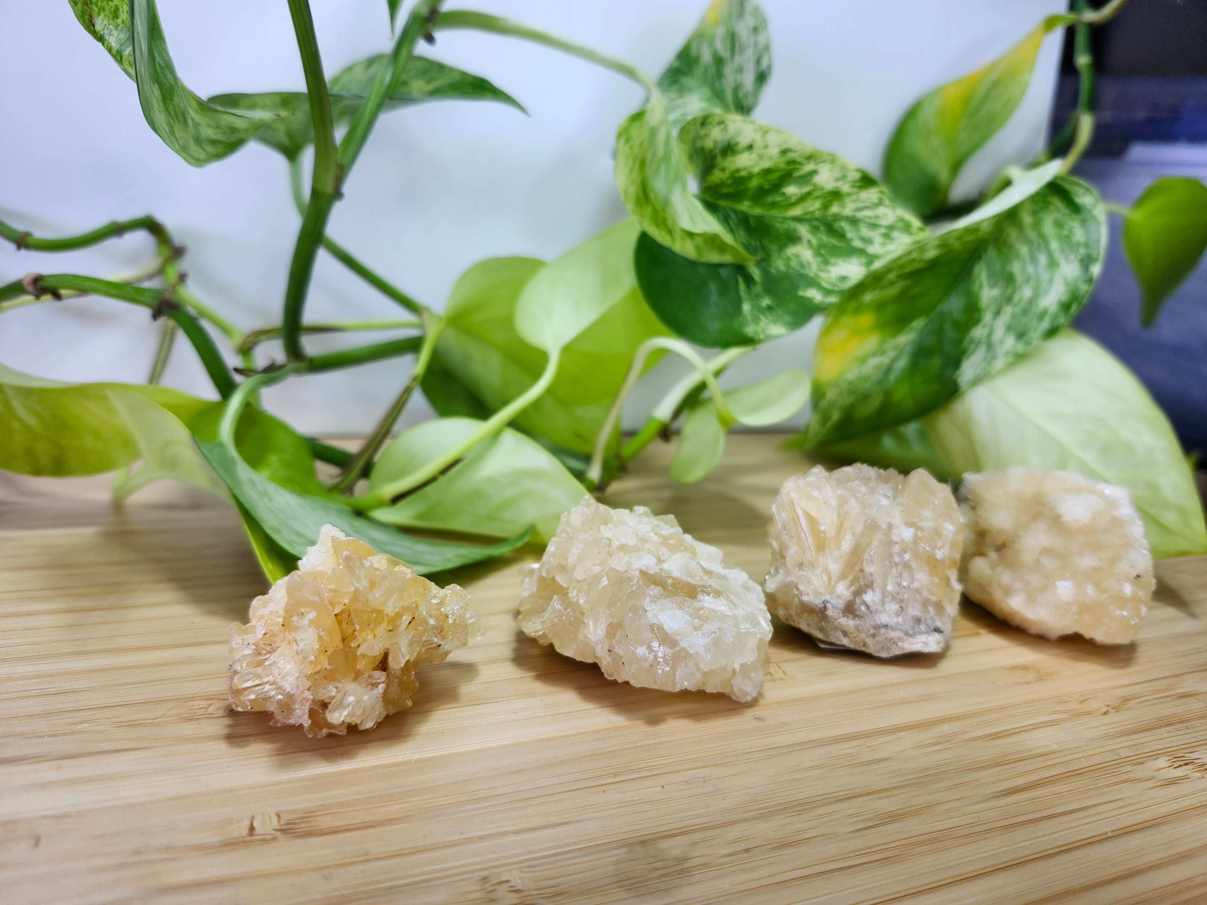 FLORIDA CALCITE SPECIMEN