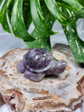 AMETHYST TURTLE