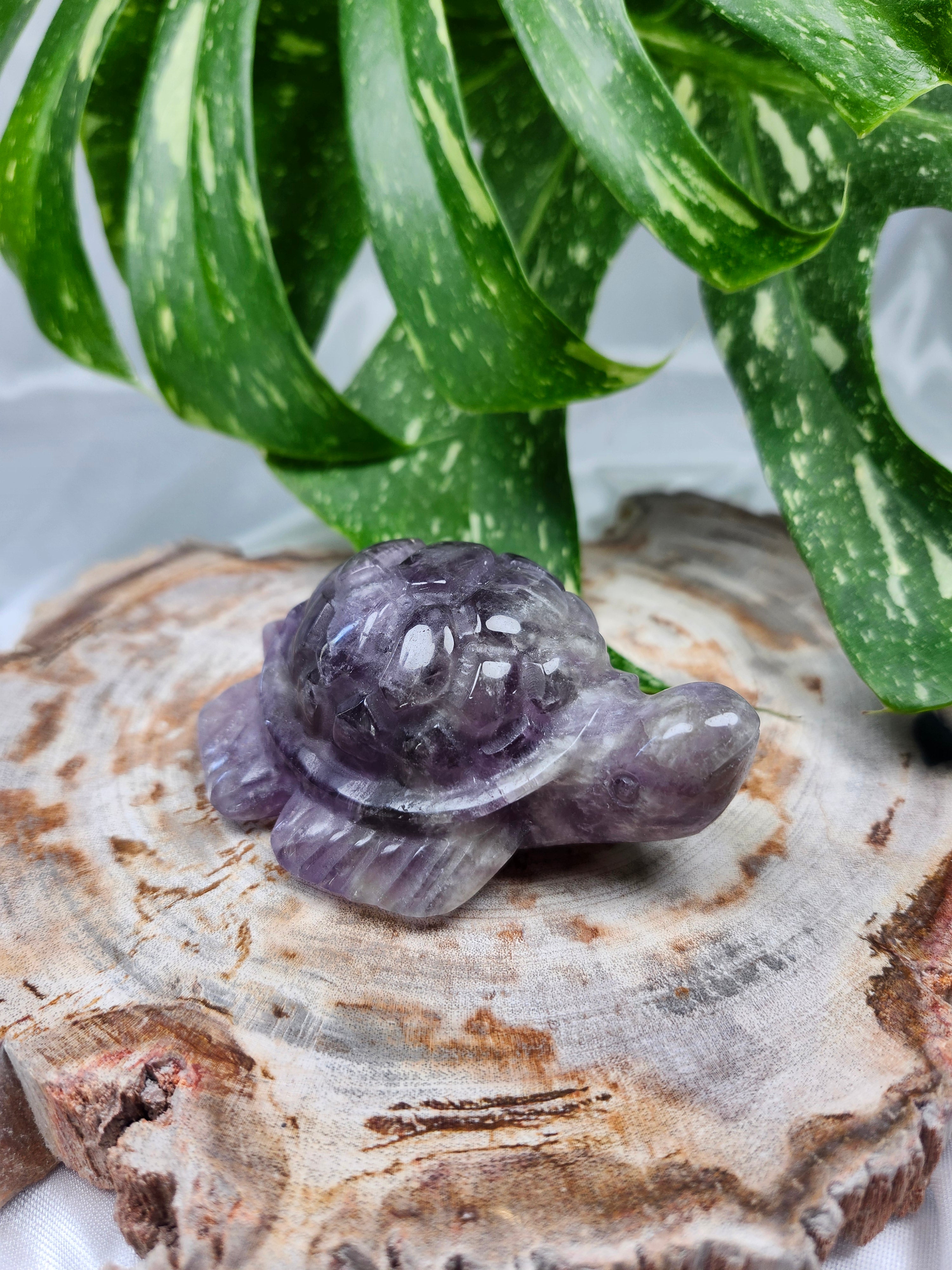 AMETHYST TURTLE
