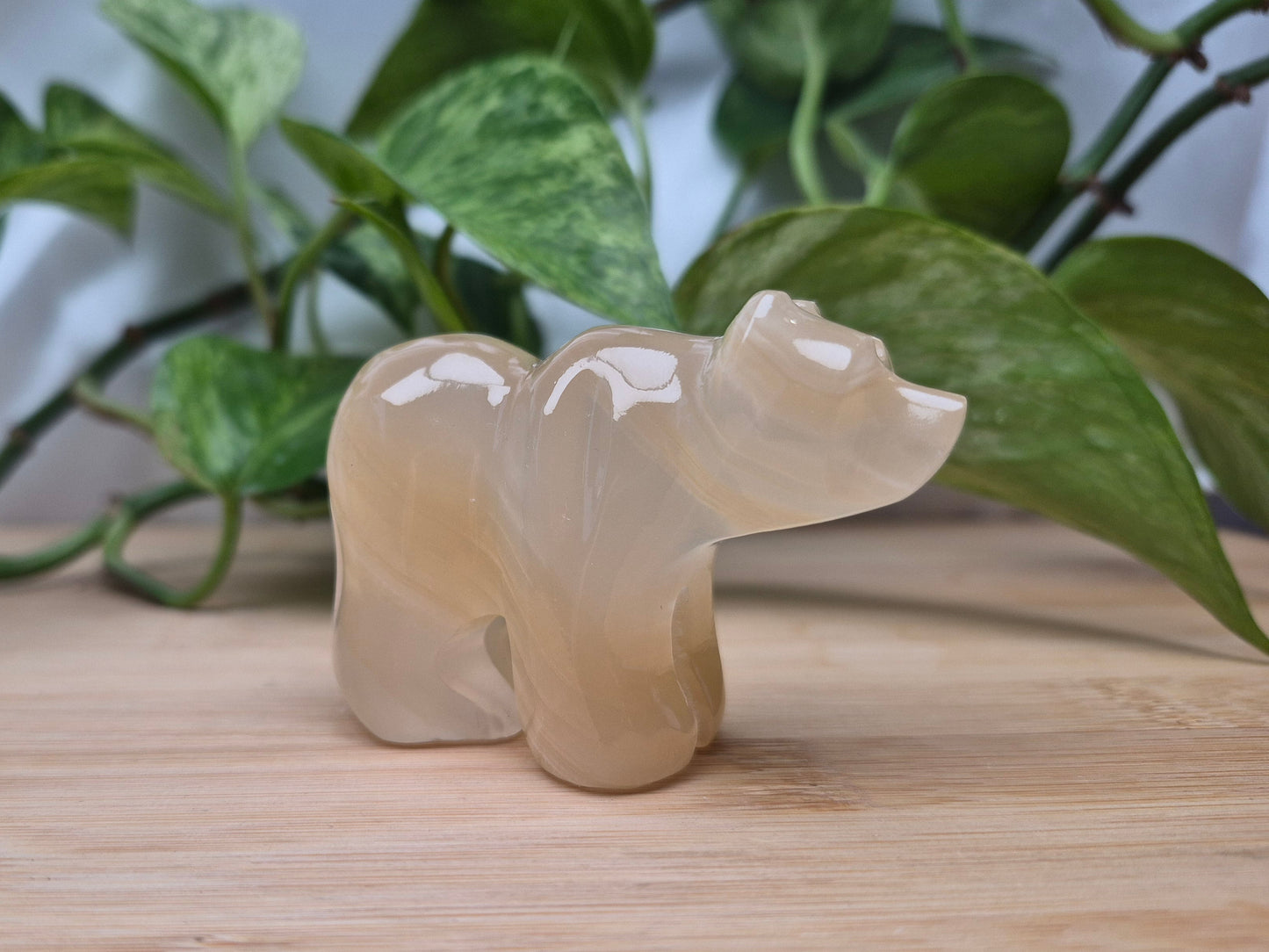 ARAGONITE BEAR