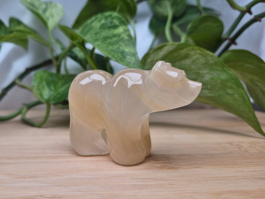 ARAGONITE BEAR