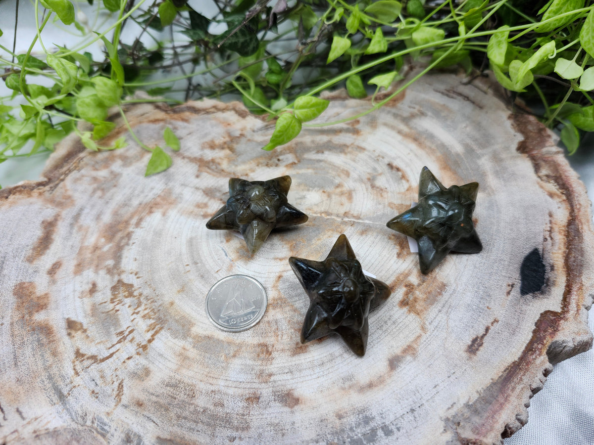 LABRADORITE STARMIE