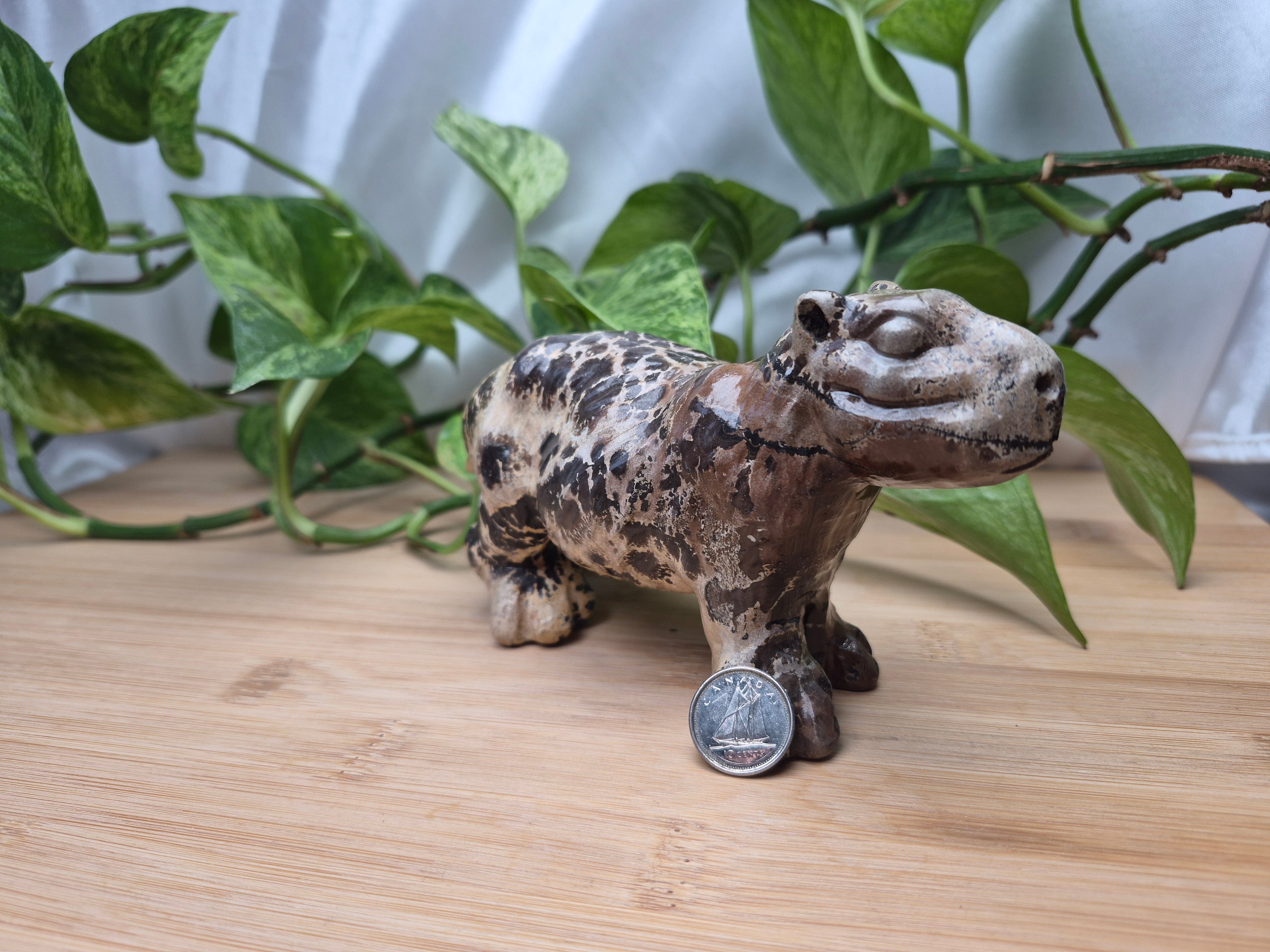 PICTURE JASPER CAPYBARA