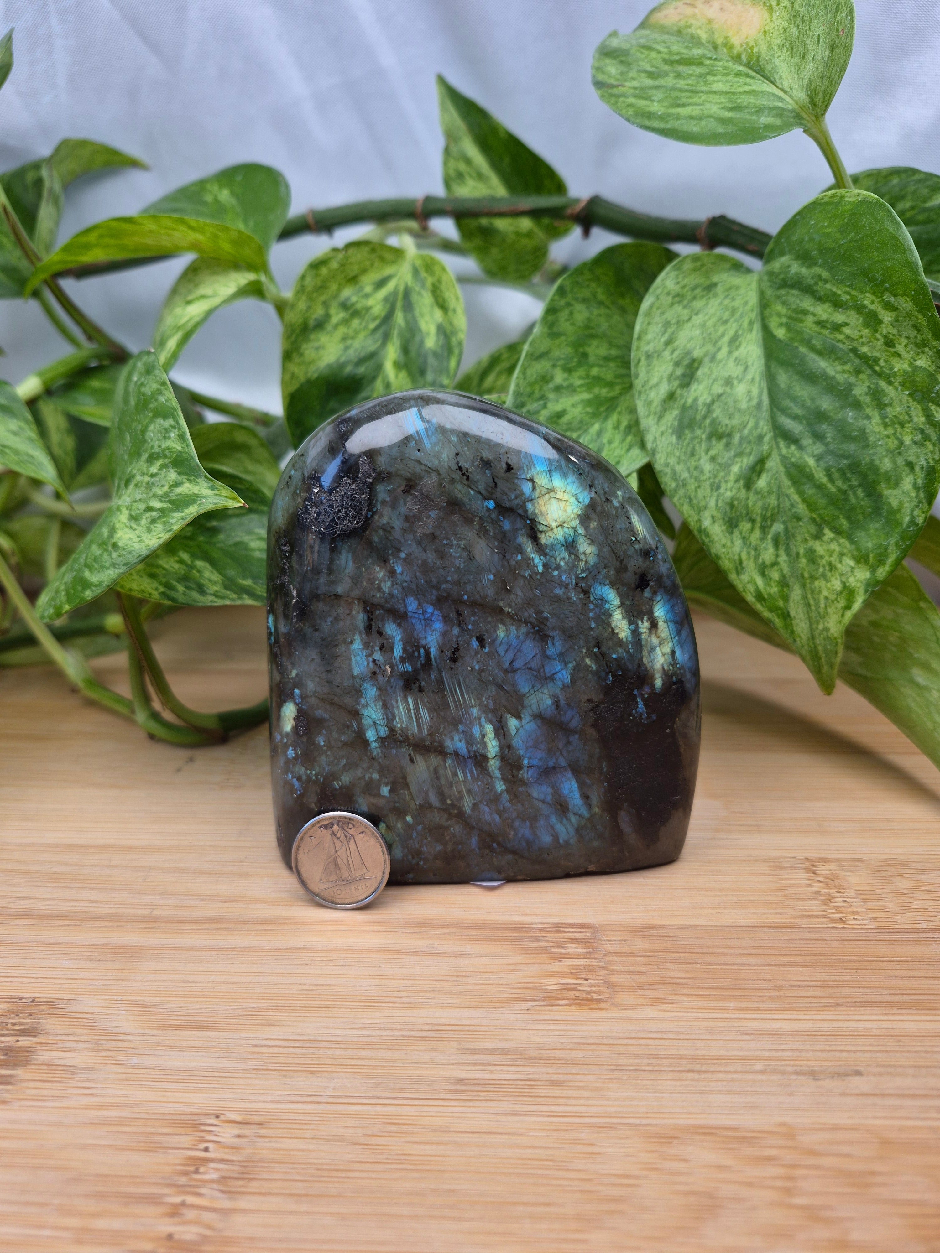 LABRADORITE FREEFORM