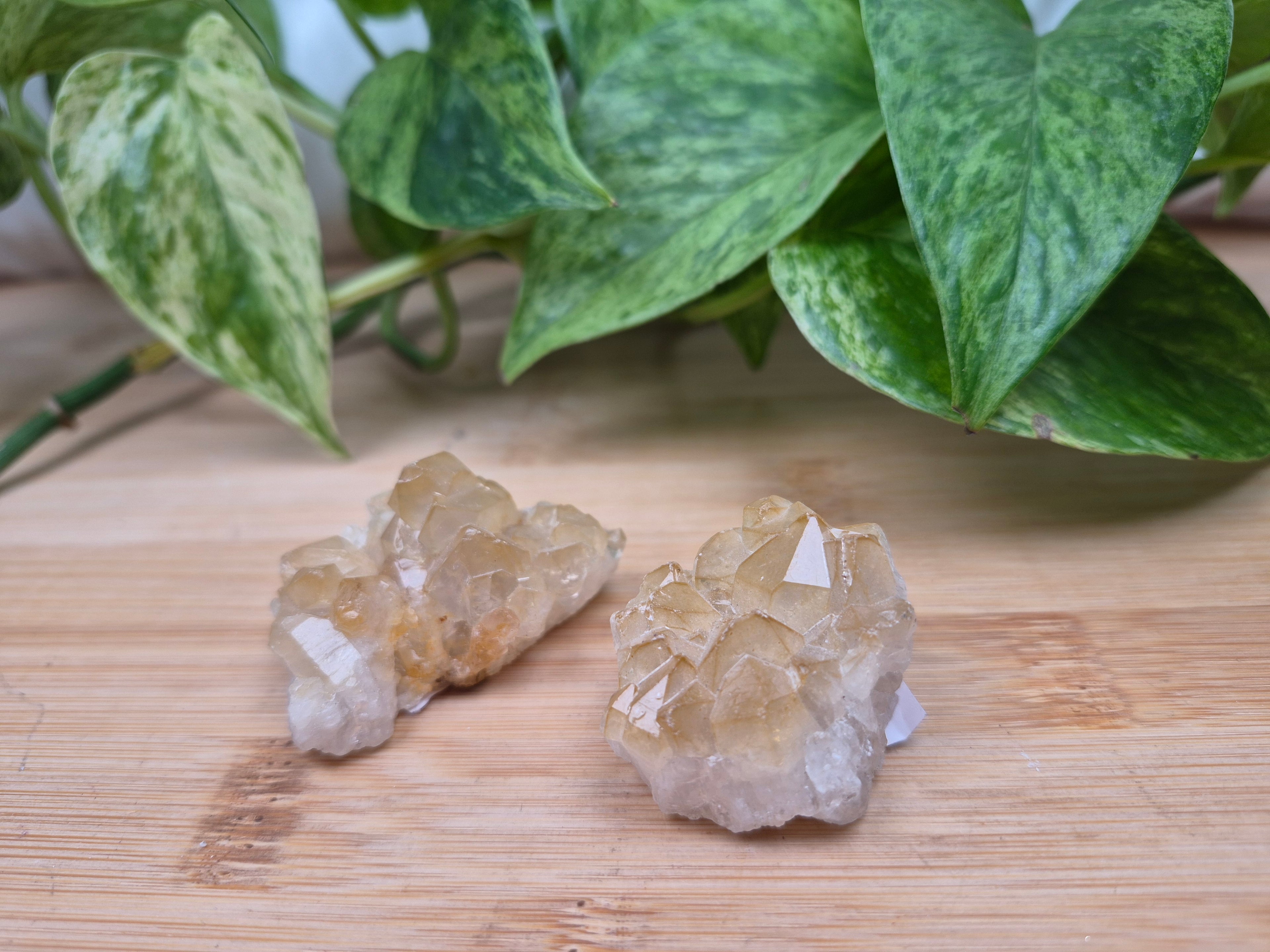 GOLDEN HEALER POINT ROUGH CHUNK