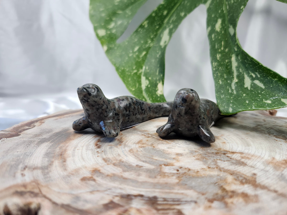 YOOPERLITE SEAL
