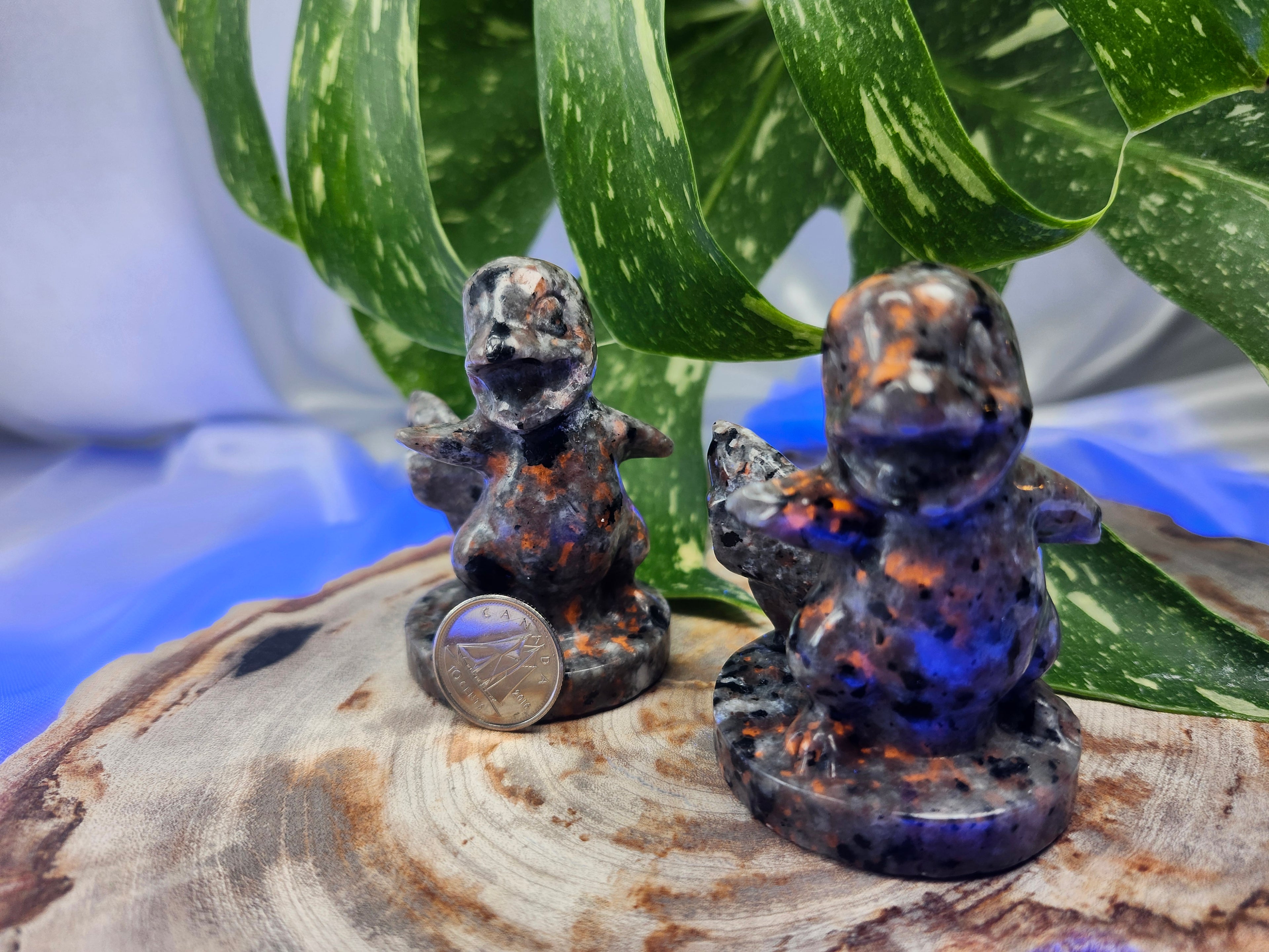 YOOPERLITE CHARMANDER LG
