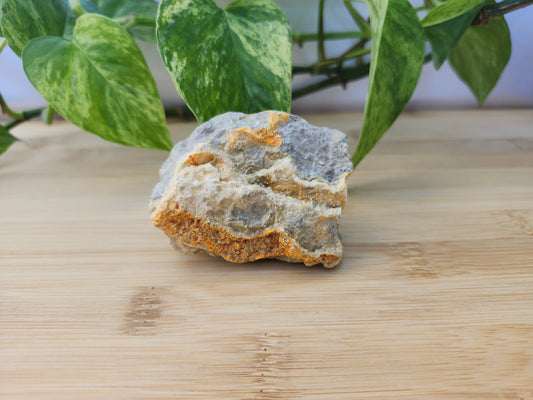 BUMBLEBEE JASPER #2