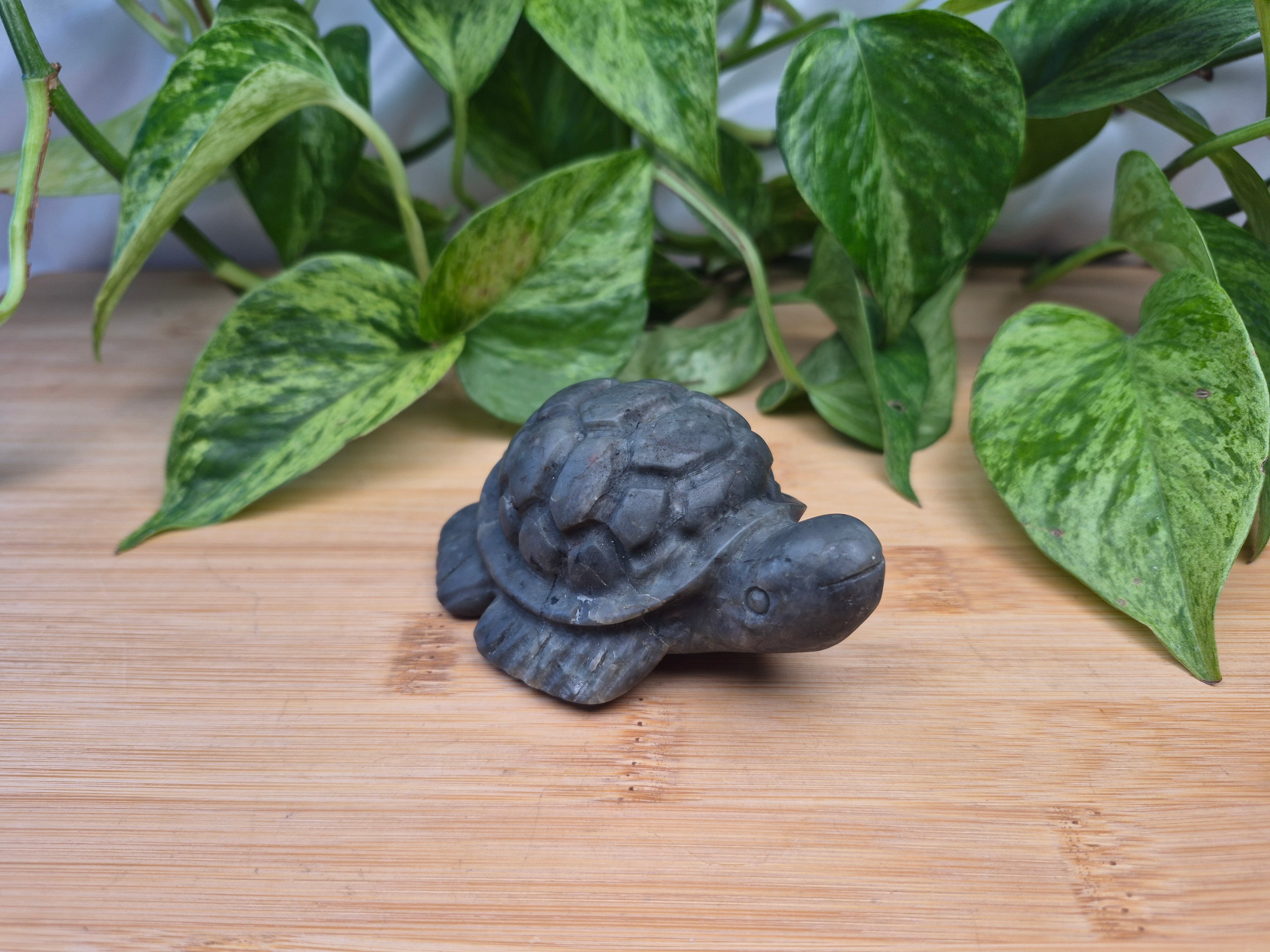 JADE TURTLE