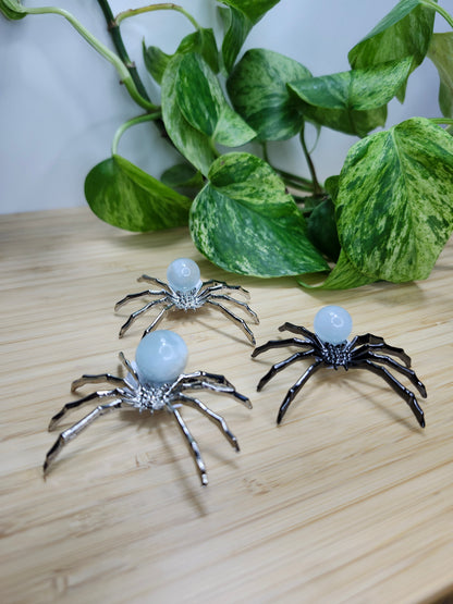 AQUAMARINE SPIDER
