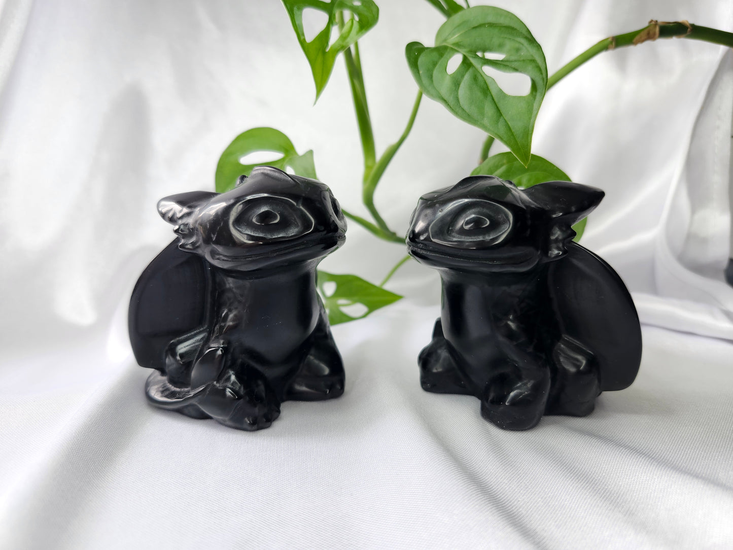 OBSIDIAN XL TOOTHLESS