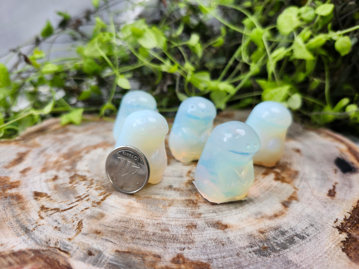 OPALITE QUAGSIRE
