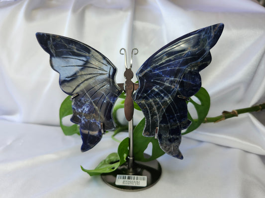 SODALITE BUTTERFLY WINGS (B)