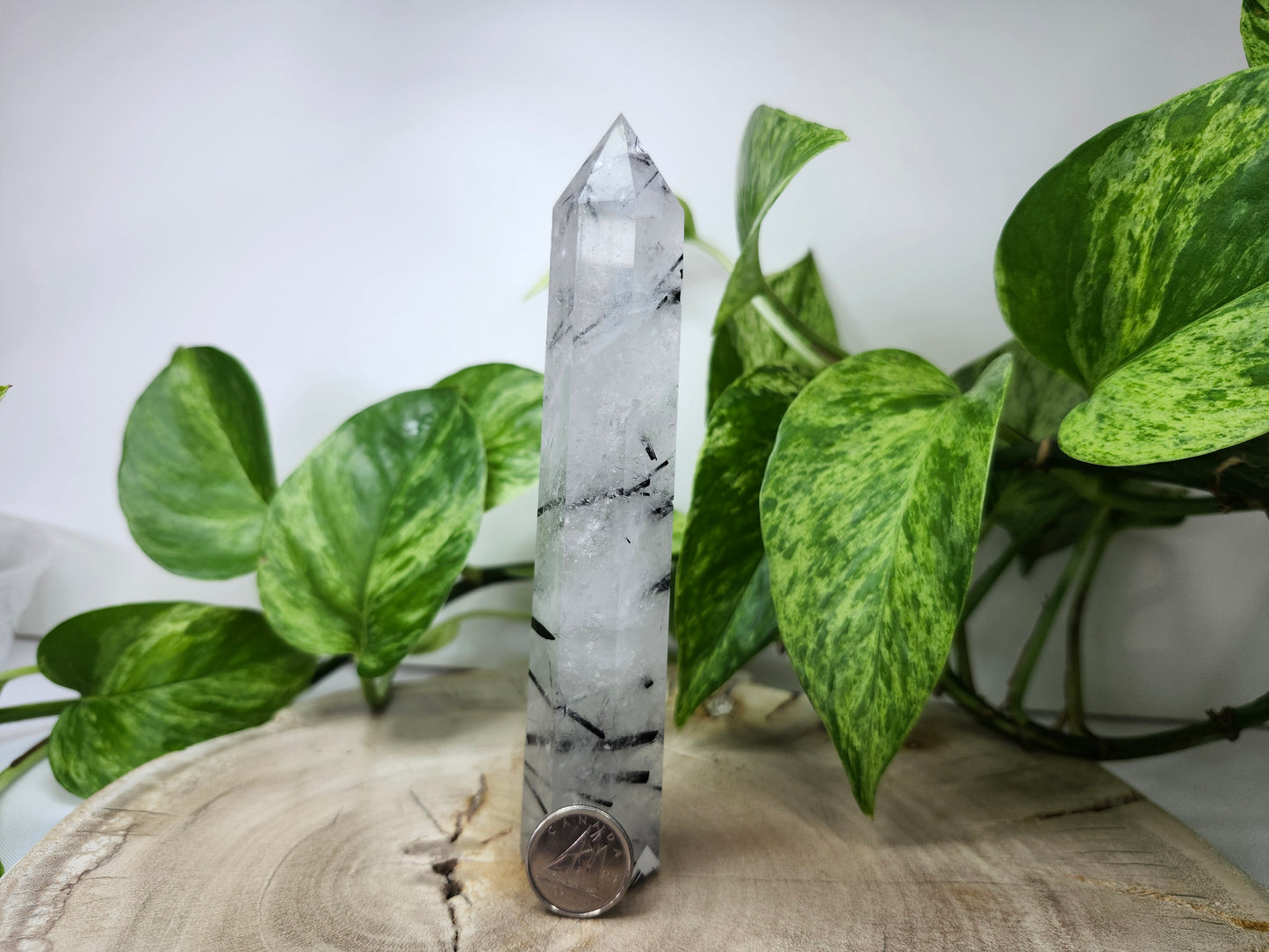 BLACK TOURMALINE TOWER