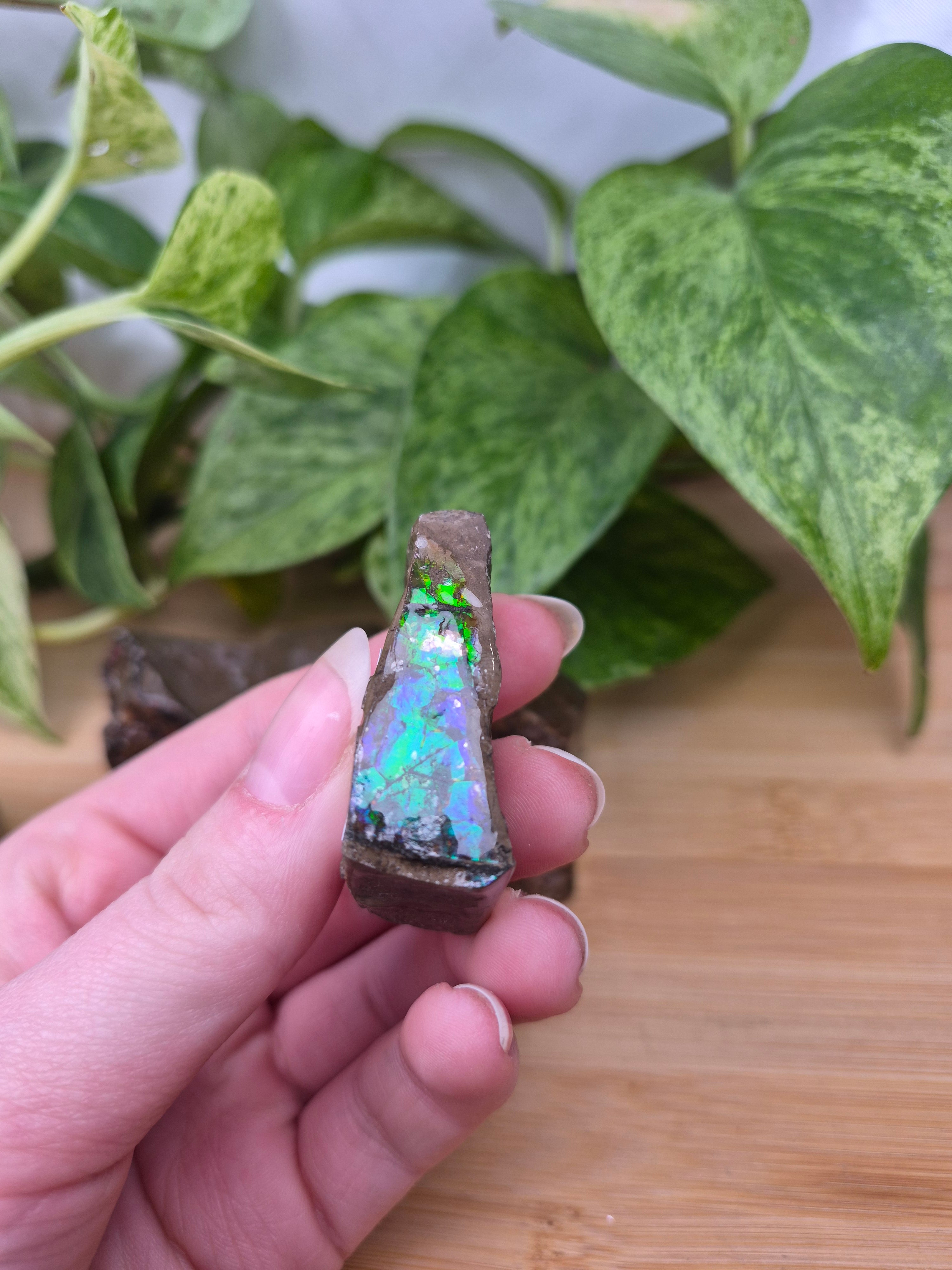 AMMOLITE ROUGH CHUNK