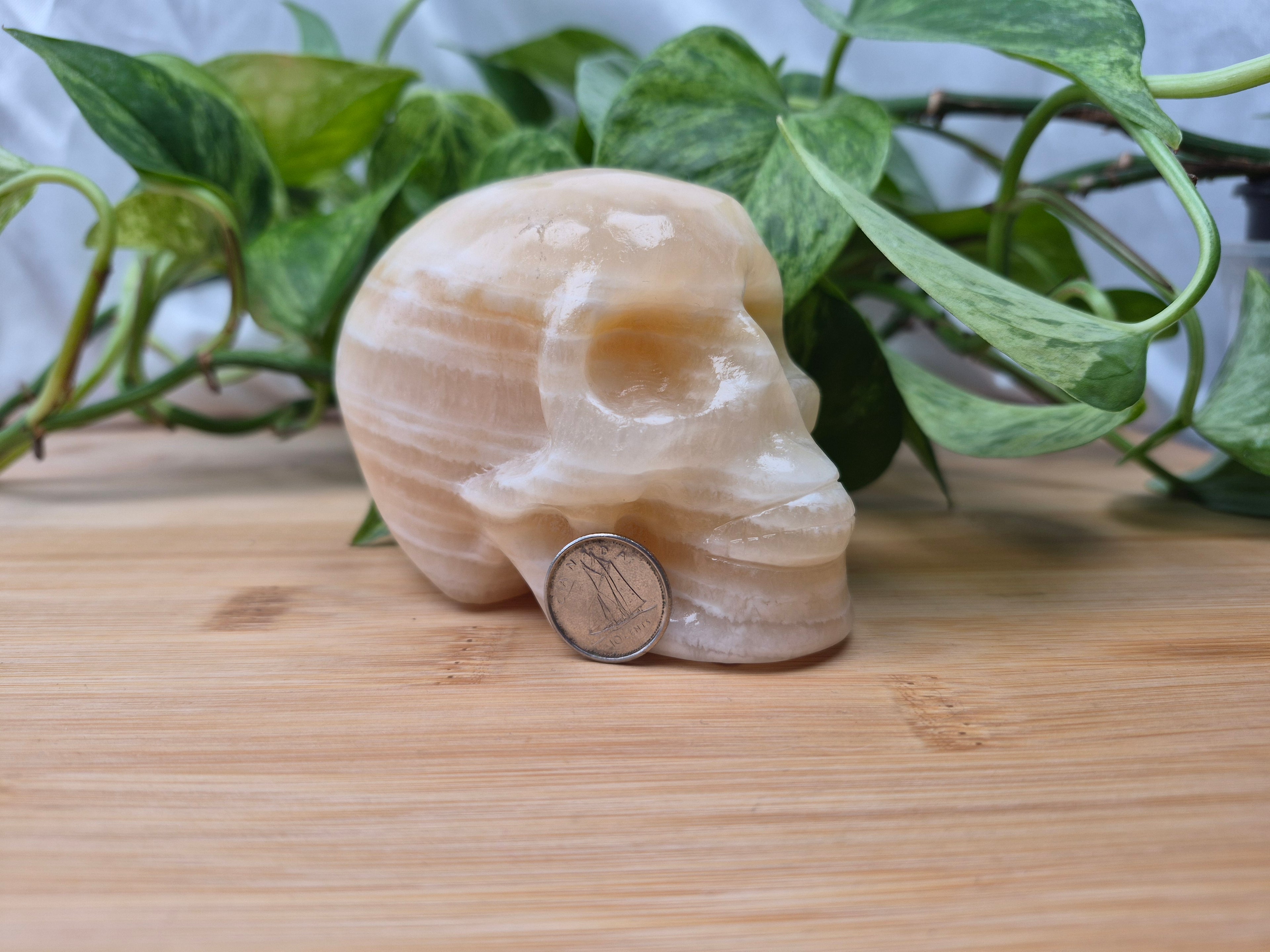 ORANGE CALCITE SKULL