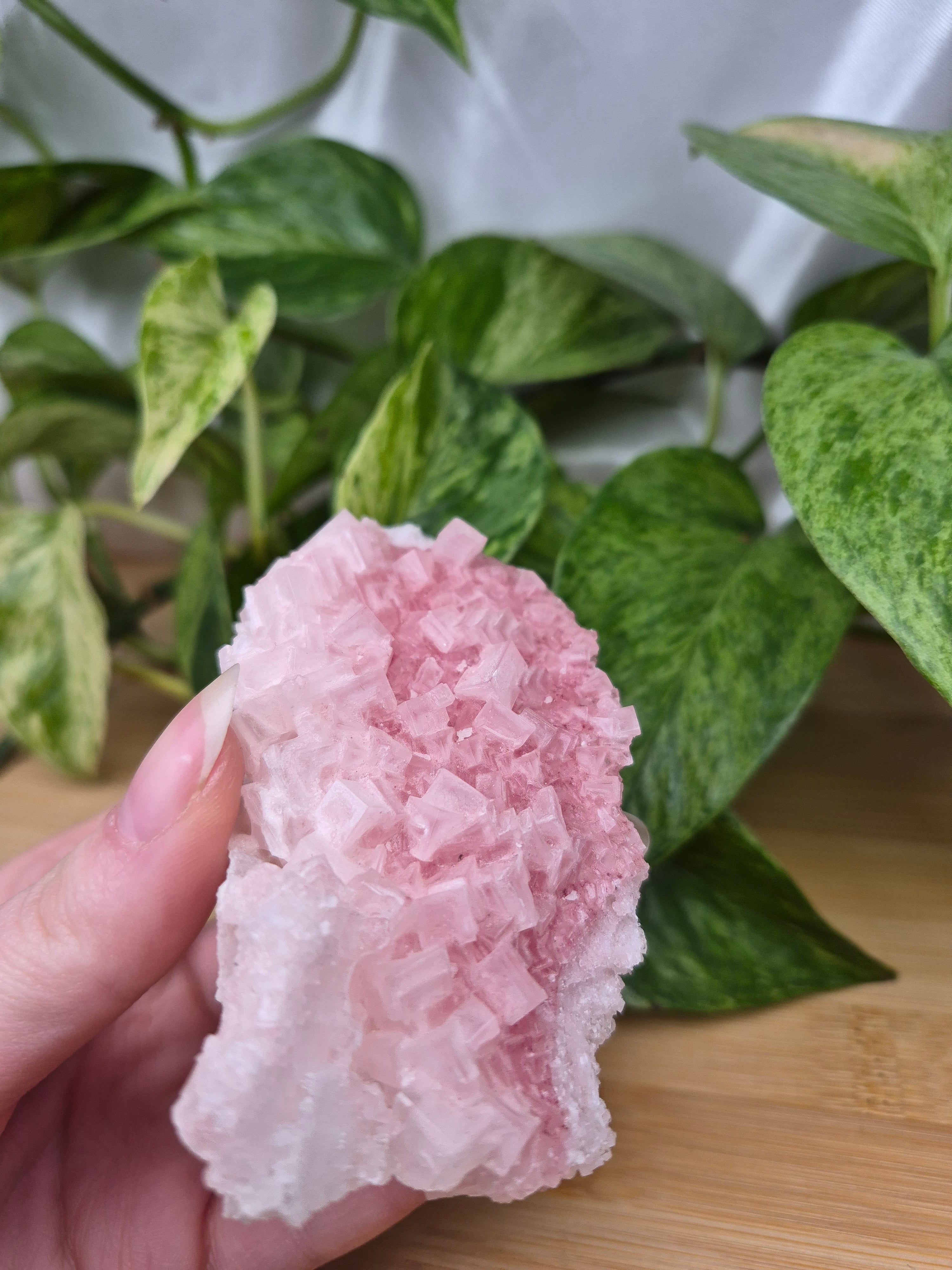 PINK HALITE SPECIMEN