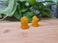ORANGE CATS EYE PSYDUCK