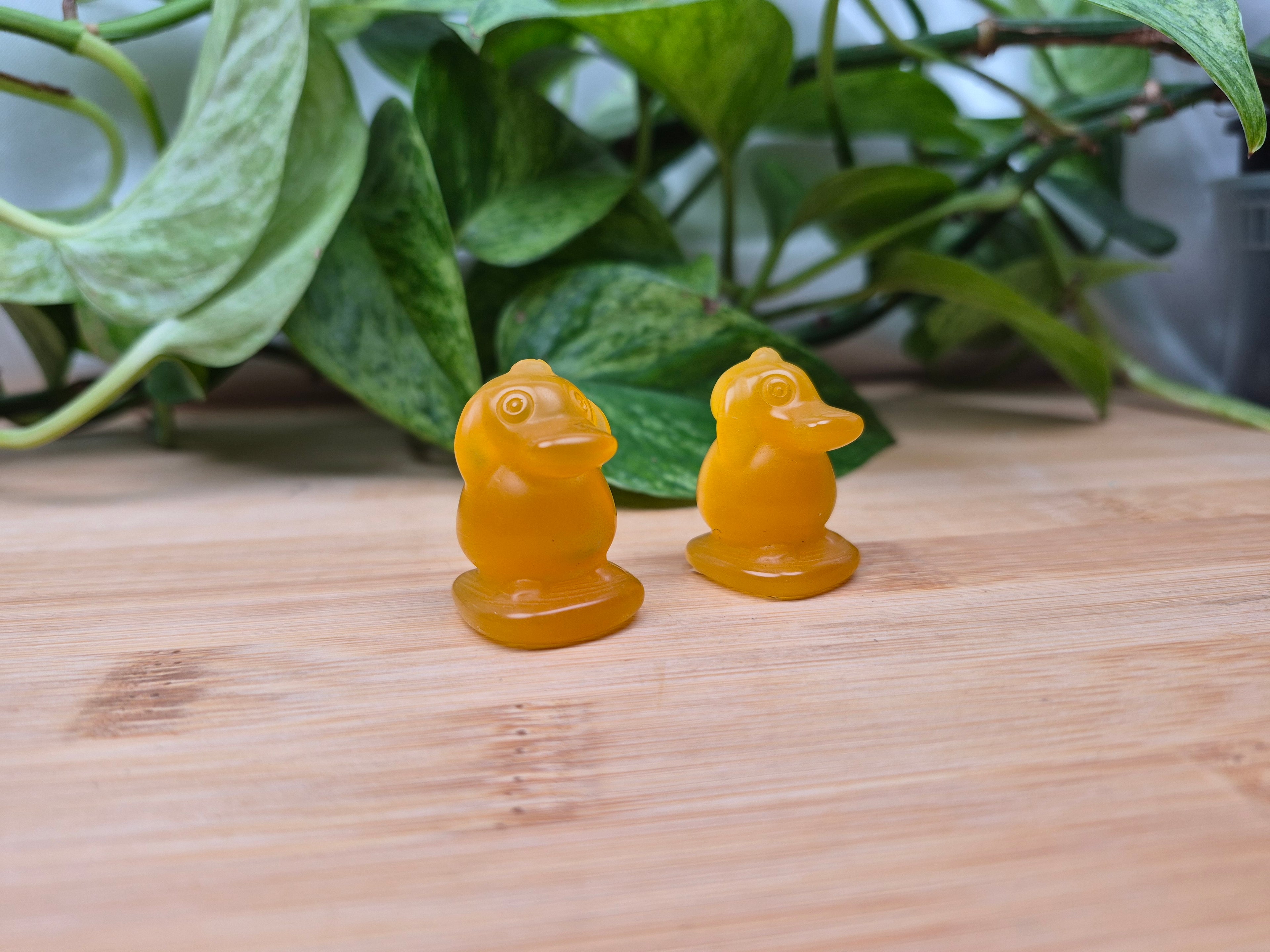 ORANGE CATS EYE PSYDUCK