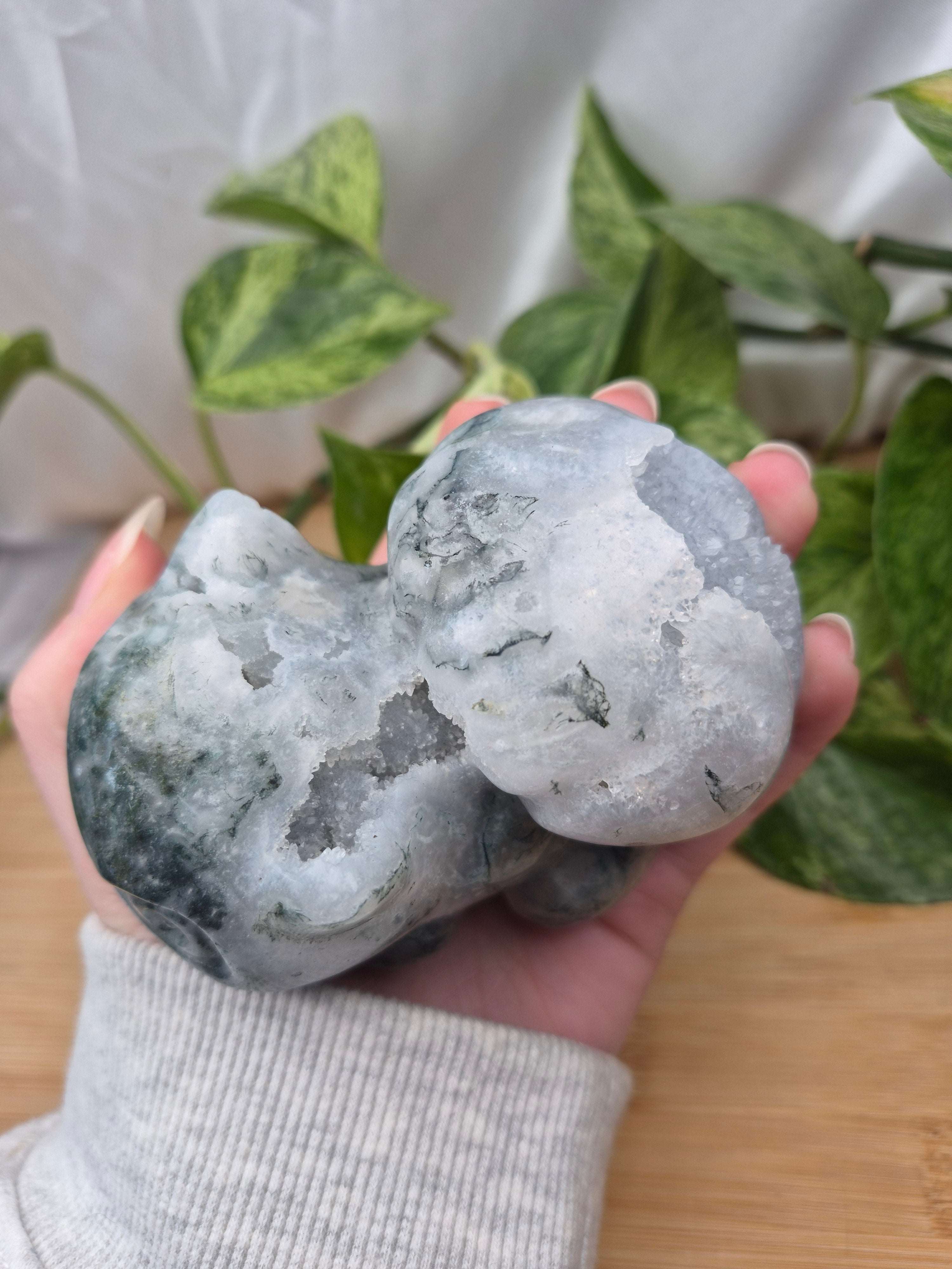 MOSS AGATE BULBASAUR