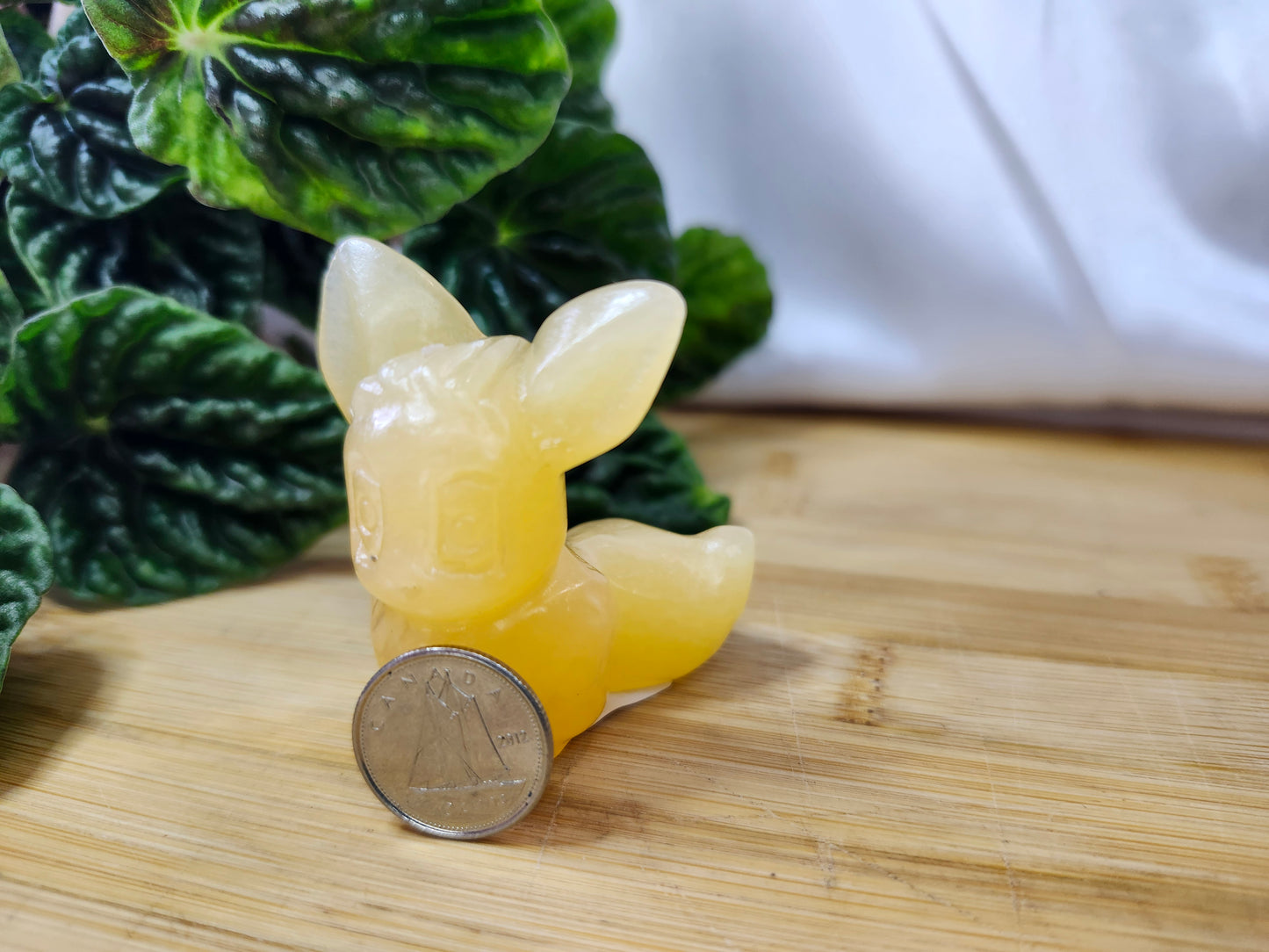 ORANGE CALCITE EEVEE