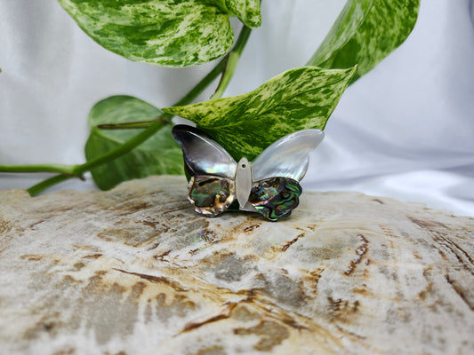 ABALONE SHELL BUTTERFLY