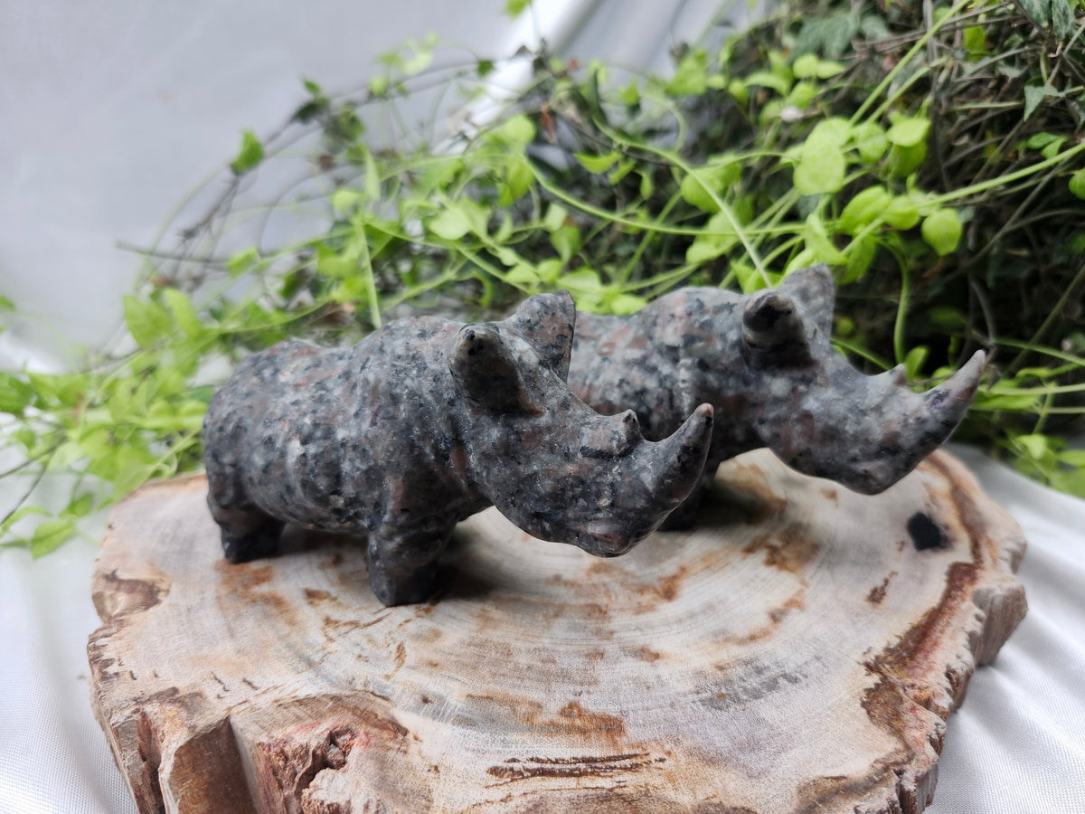 YOOPERLITE RHINO