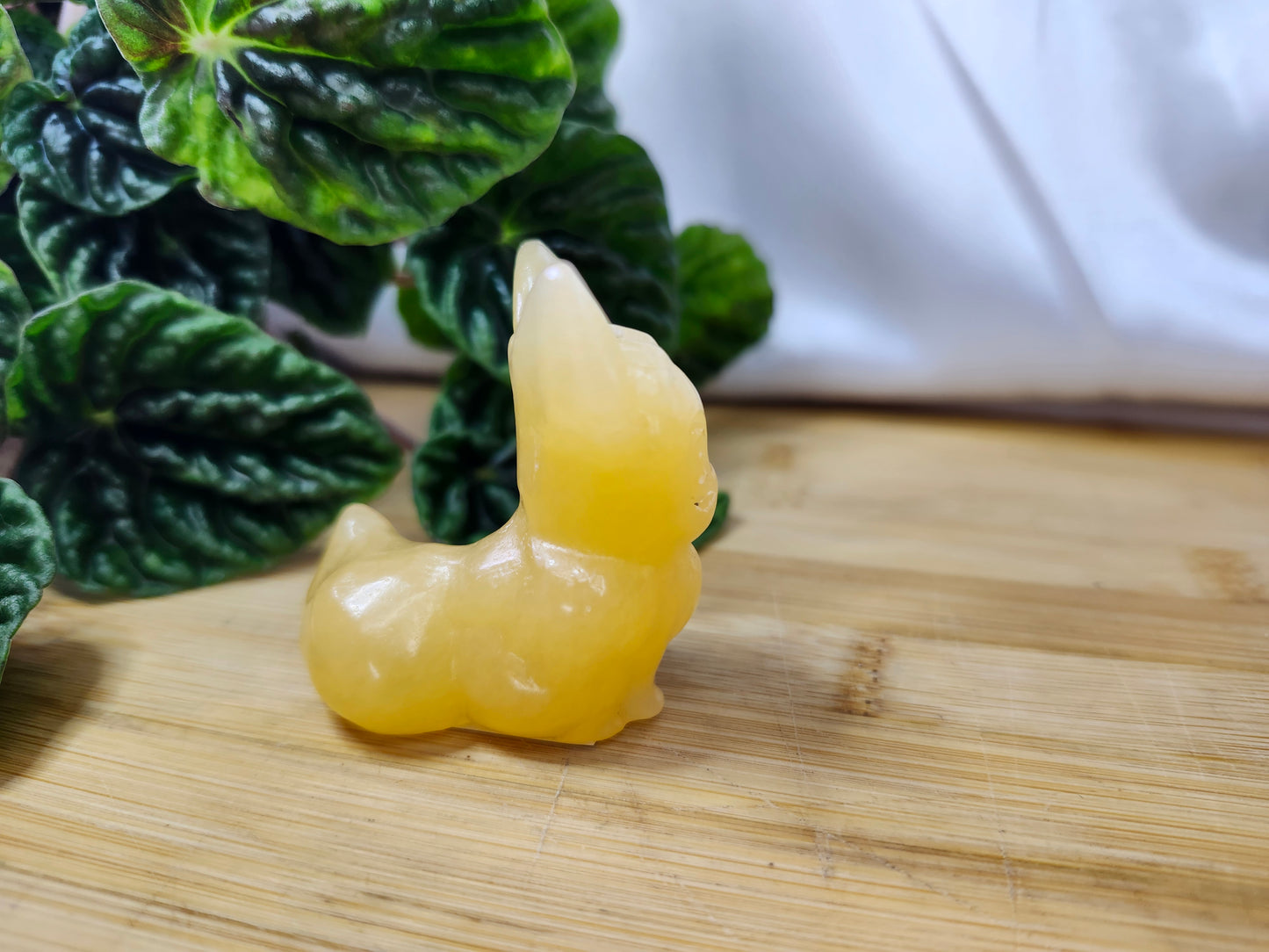 ORANGE CALCITE EEVEE