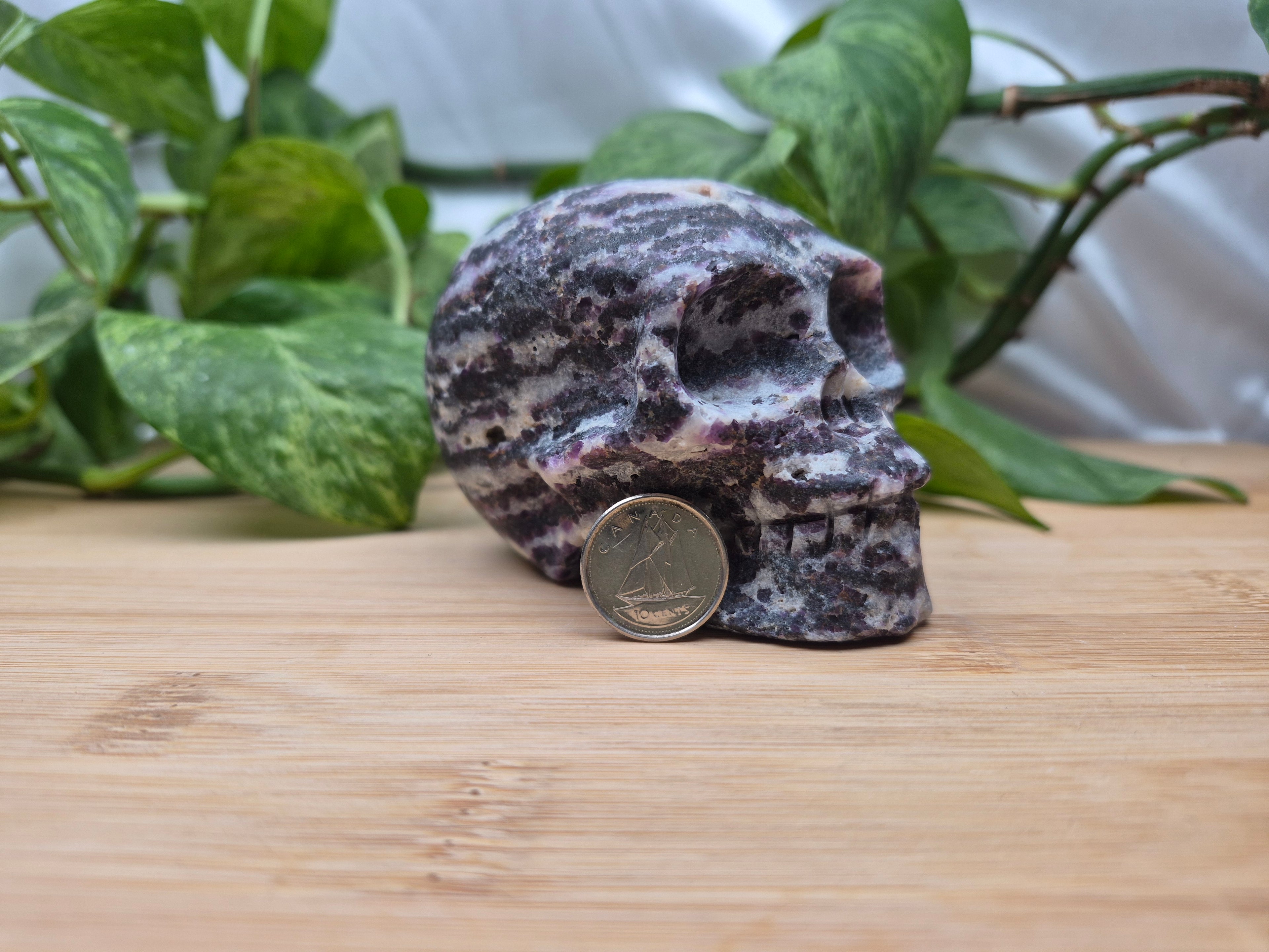 TIFFANY STONE SKULL