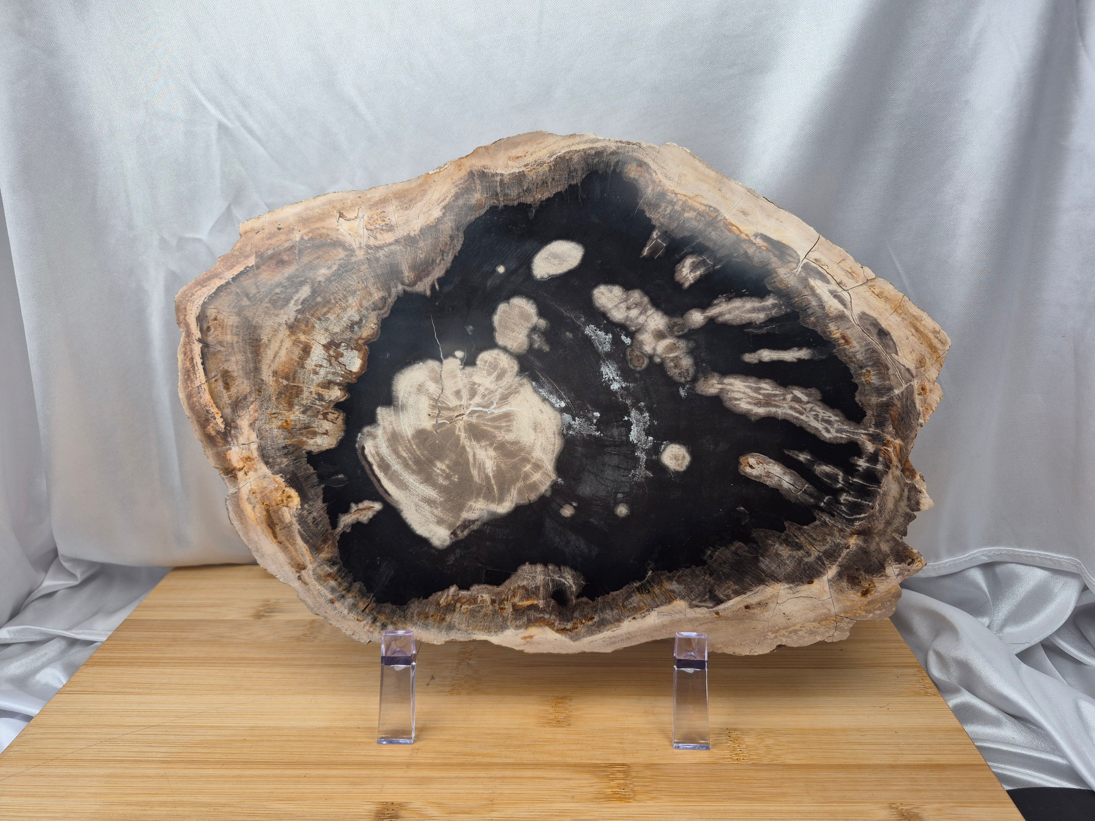 PETRIFIED WOOD SLAB 8