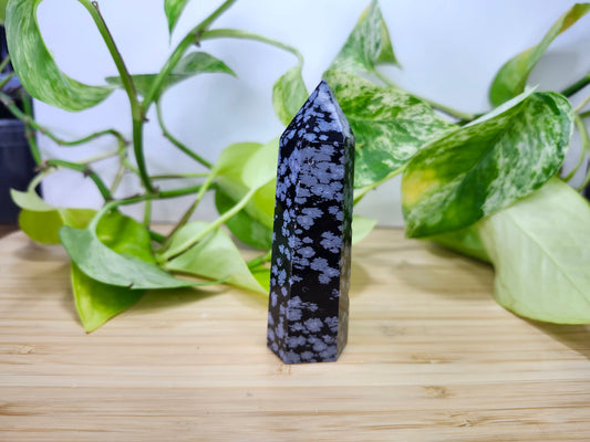 SNOWFLAKE OBSIDIAN TOWER