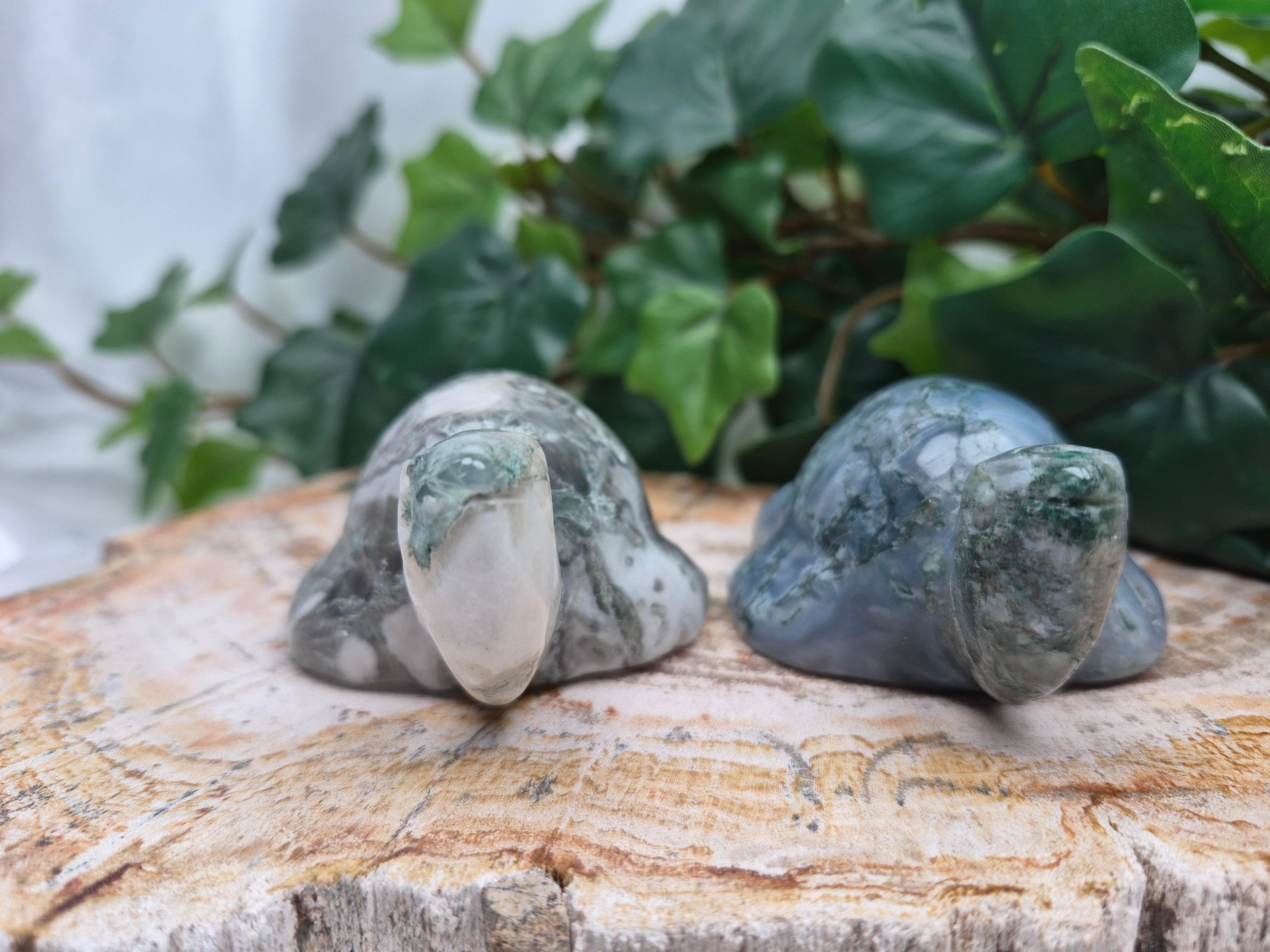 MOSS AGATE TURTLE