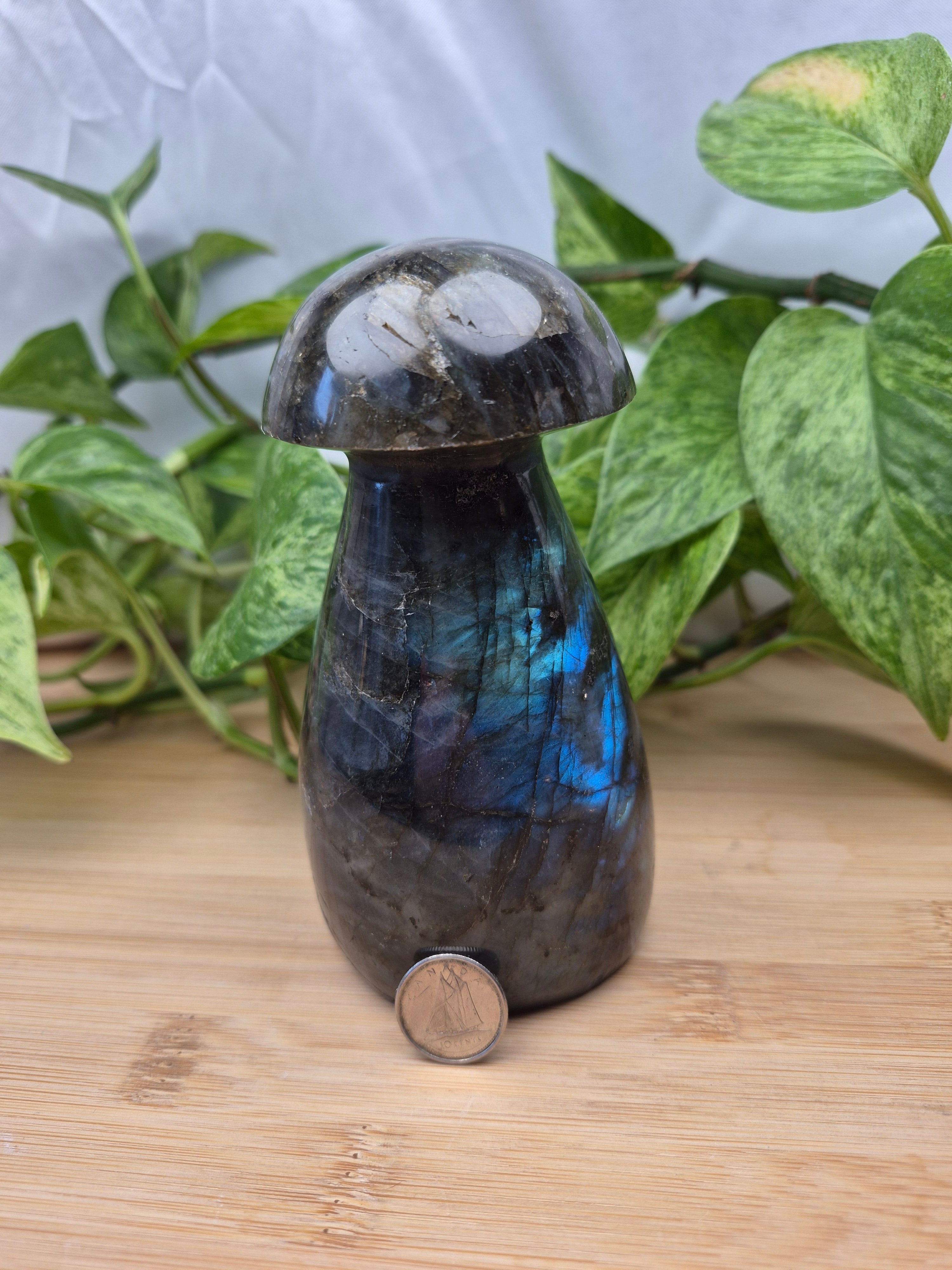 LABRADORITE MUSHROOM